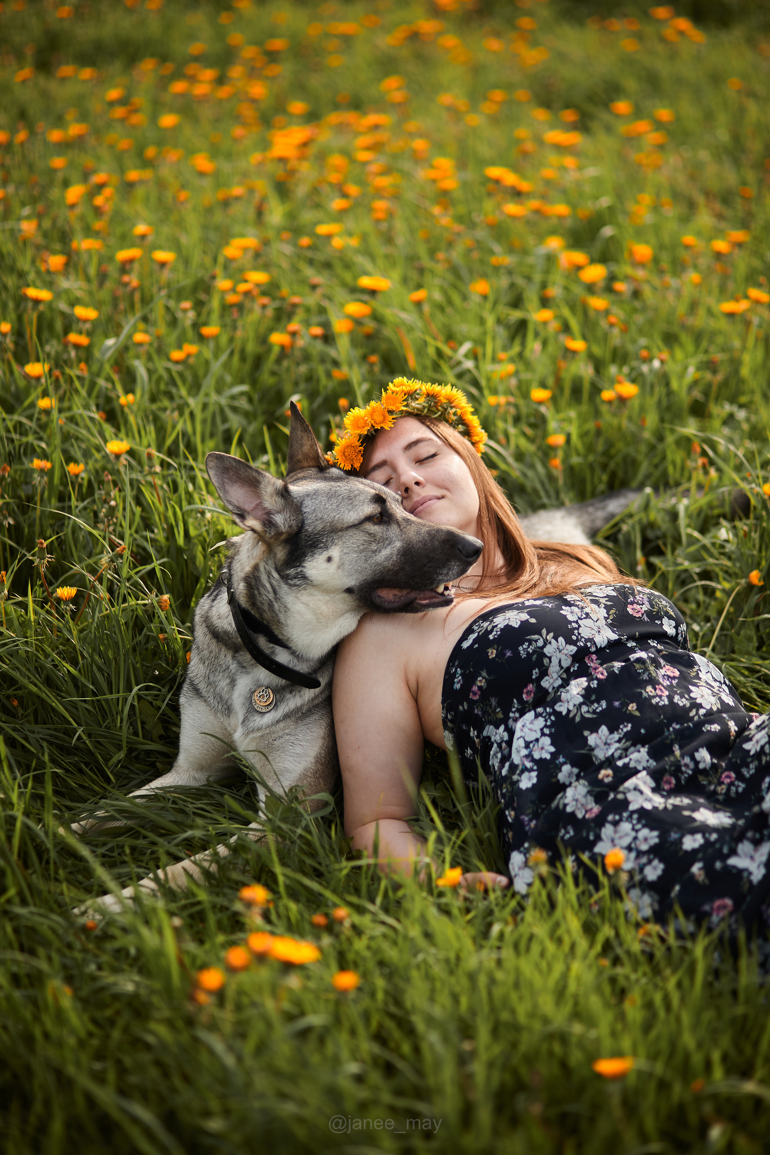 Фото собак, животных весной. Фотограф анималист в Москве Майорова Евгения