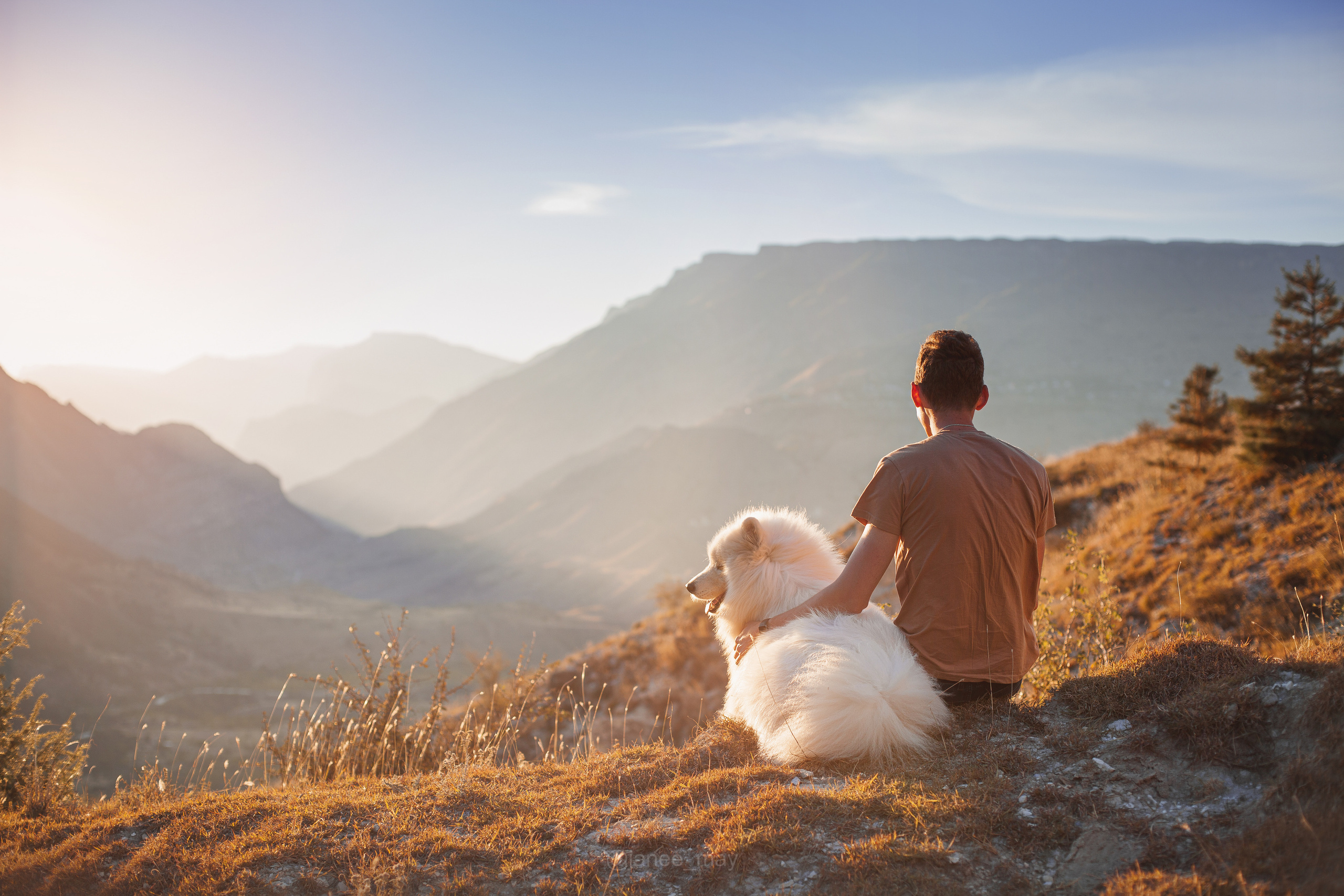 Фото собак, животных осенью. Фотограф анималист в Москве Майорова Евгения