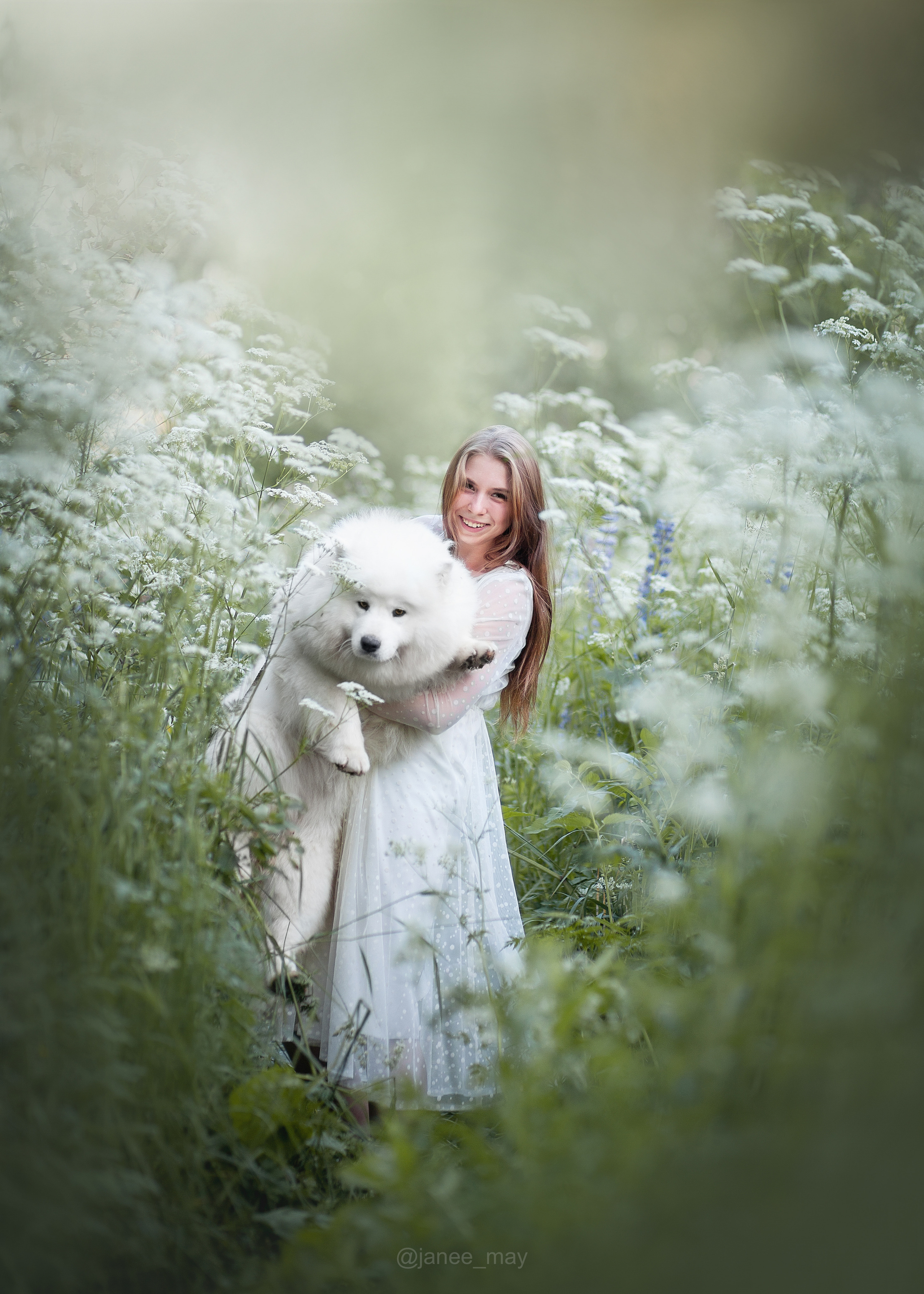 Фото собак, животных летом. Фотограф анималист в Москве Майорова Евгения