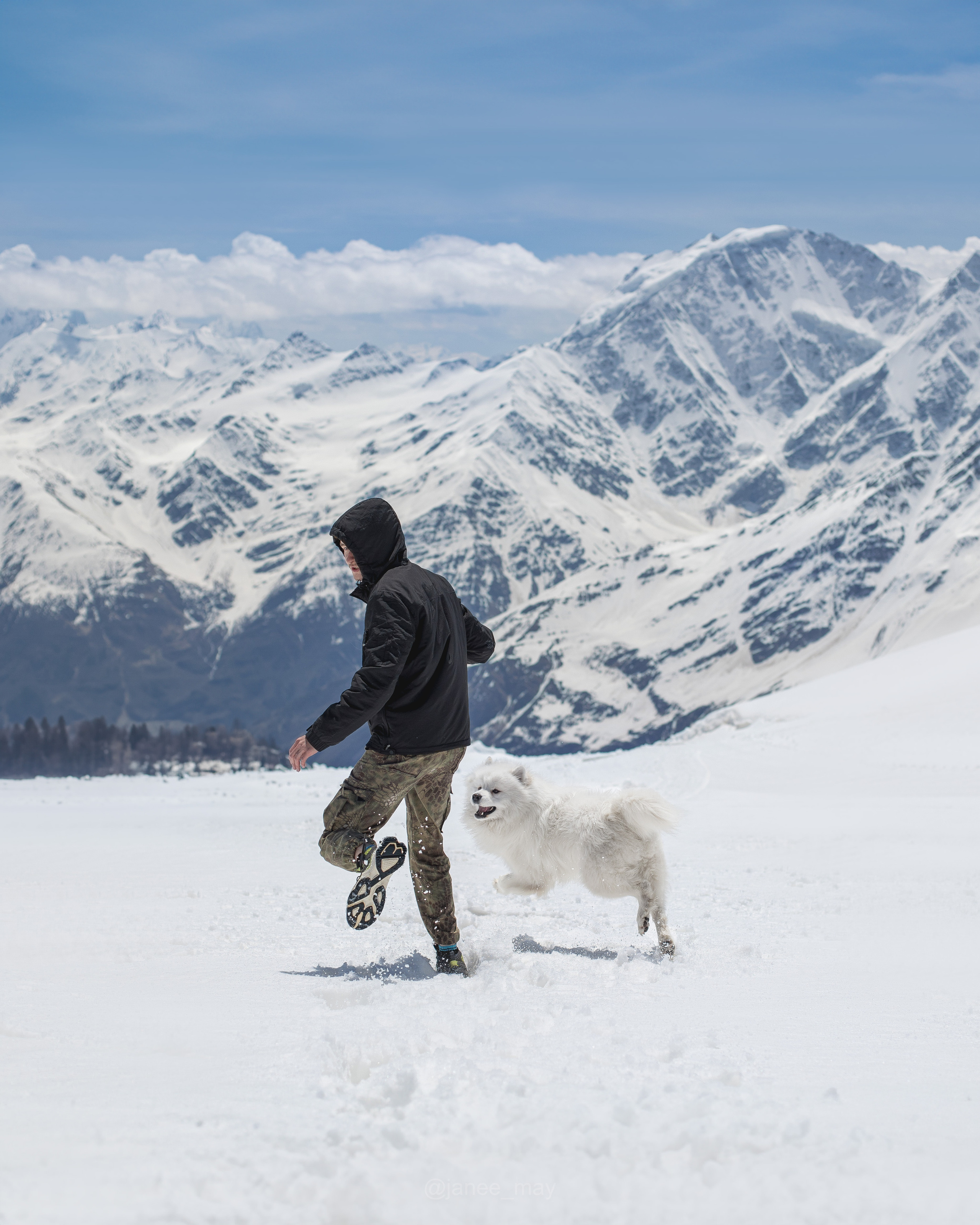 Фото собак, животных зимой. Фотограф анималист в Москве Майорова Евгения