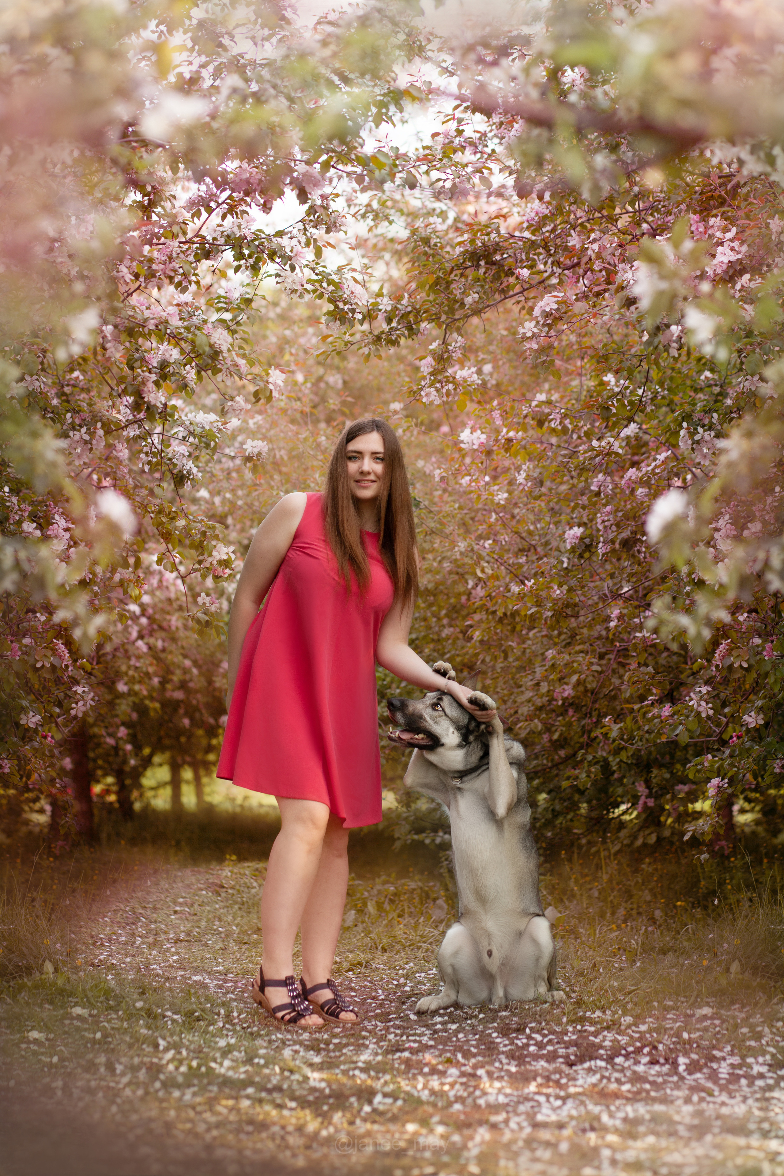 Фото собак, животных весной. Фотограф анималист в Москве Майорова Евгения