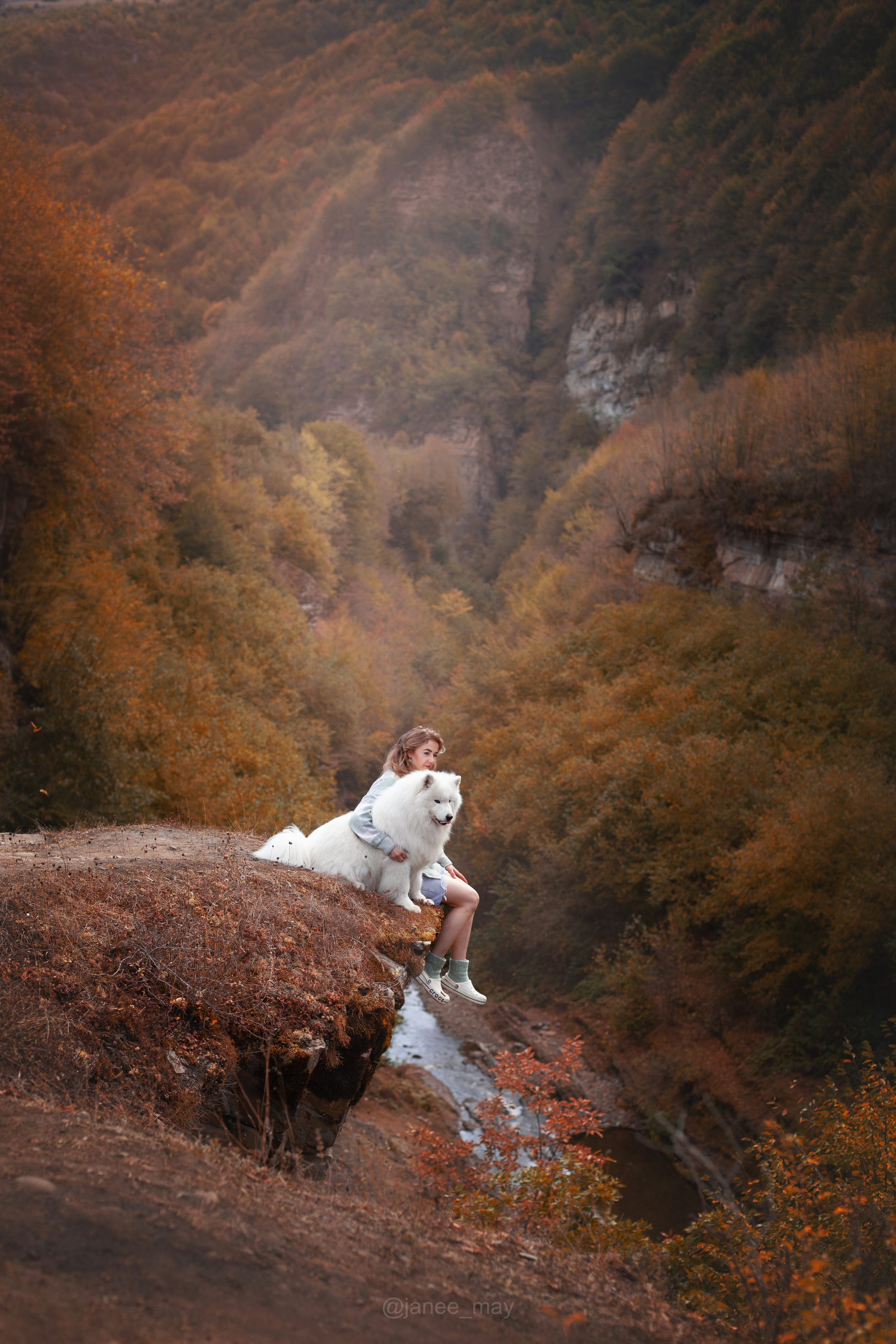 Фото собак, животных осенью. Фотограф анималист в Москве Майорова Евгения