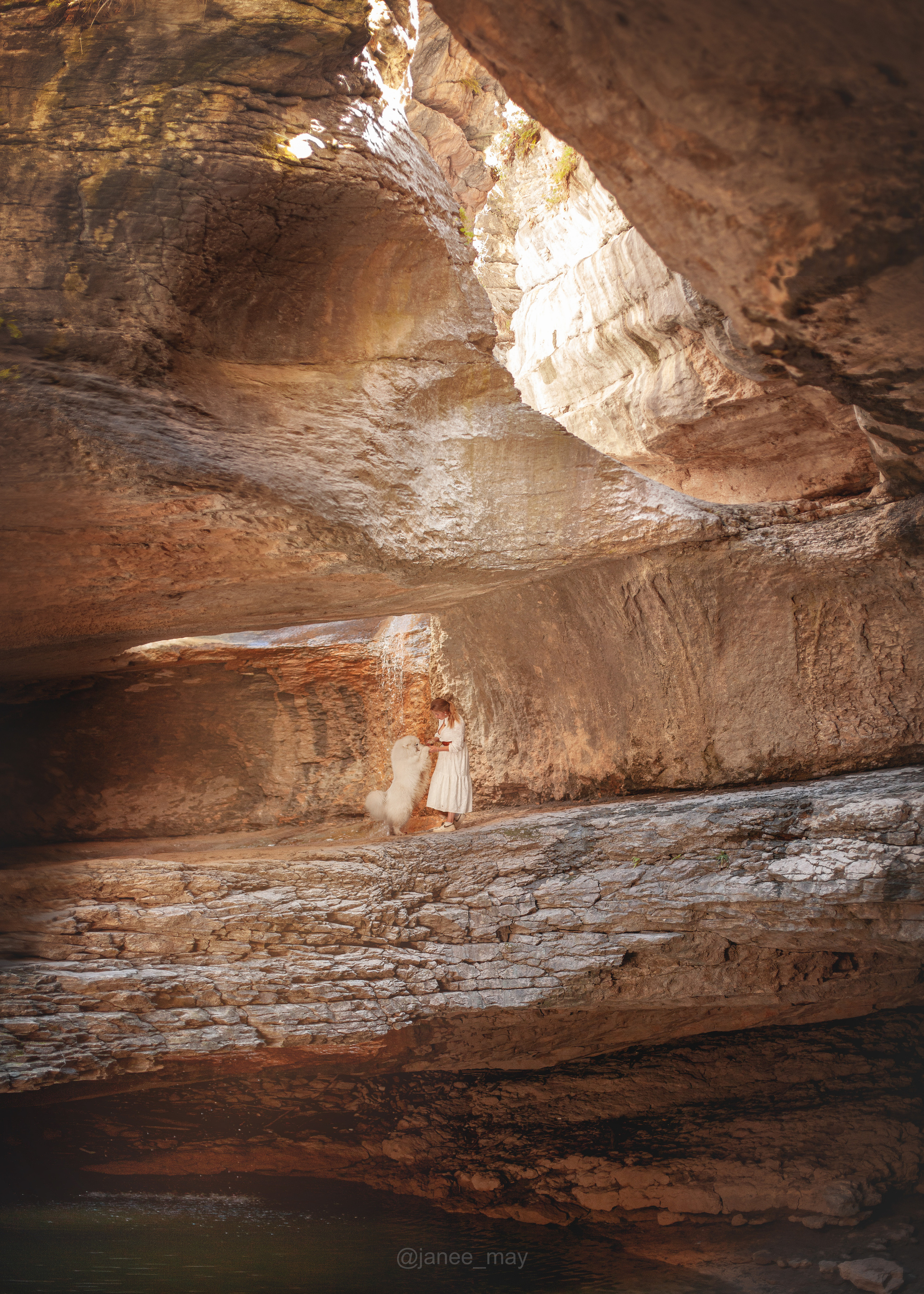 Фото собак, животных летом. Фотограф анималист в Москве Майорова Евгения