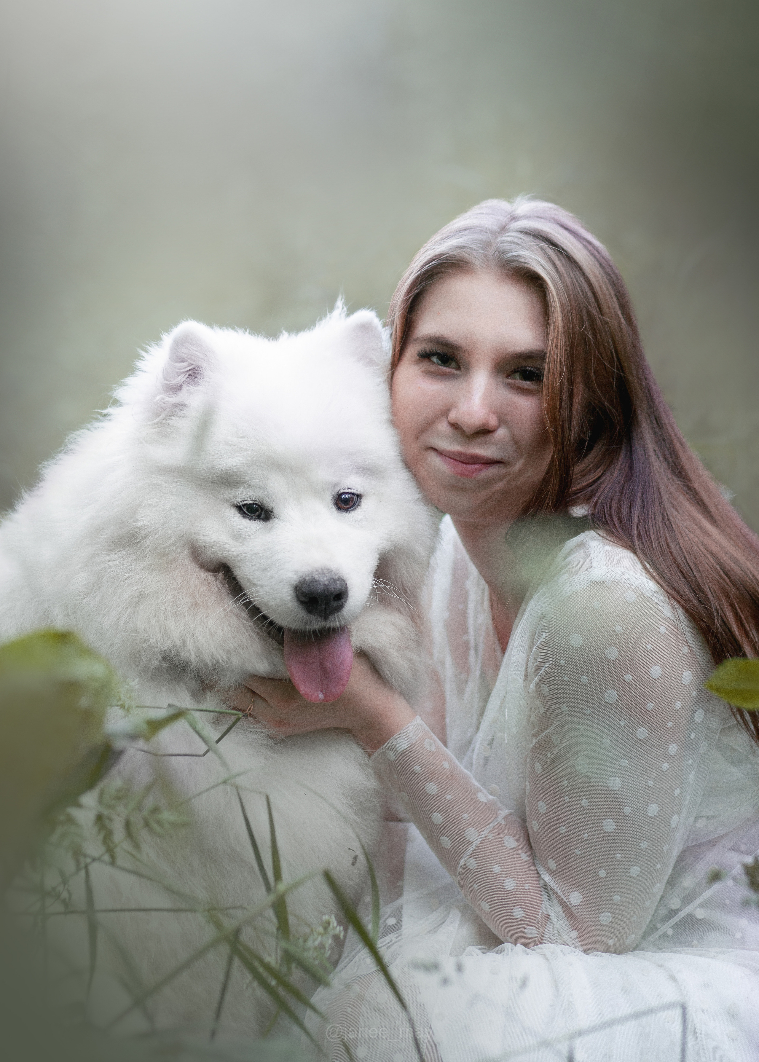 Фото собак, животных летом. Фотограф анималист в Москве Майорова Евгения