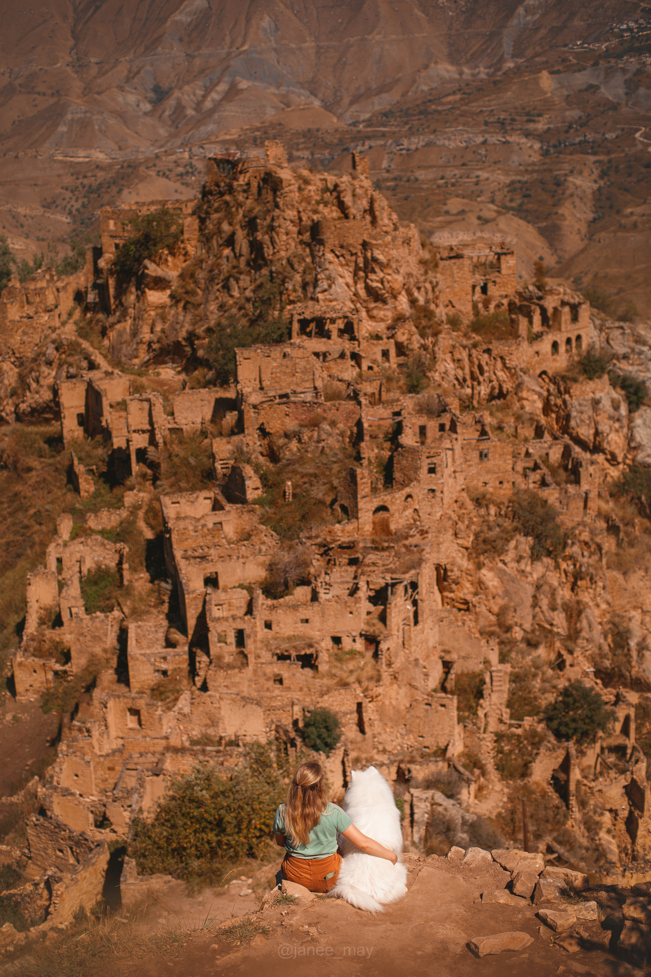 Фото собак, животных осенью. Фотограф анималист в Москве Майорова Евгения