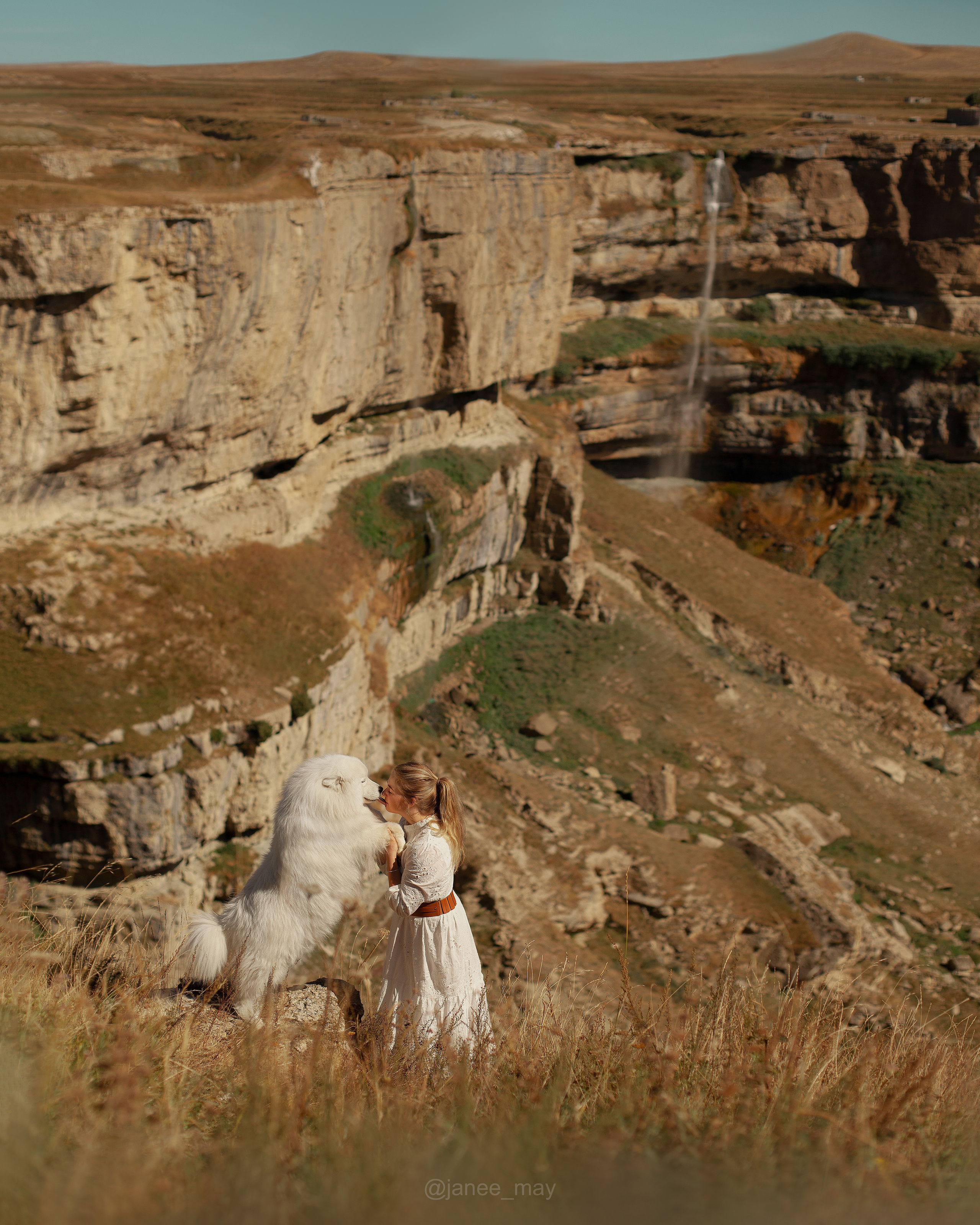 Фото собак, животных летом. Фотограф анималист в Москве Майорова Евгения