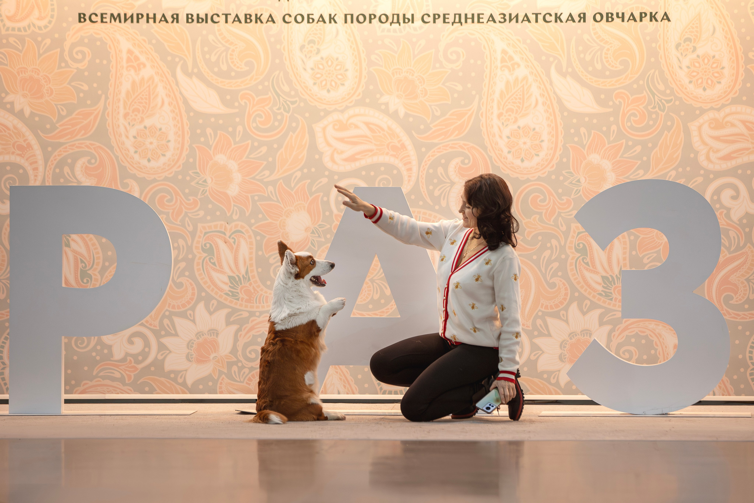 Евразия 2023. Фотограф анималист в Москве Майорова Евгения