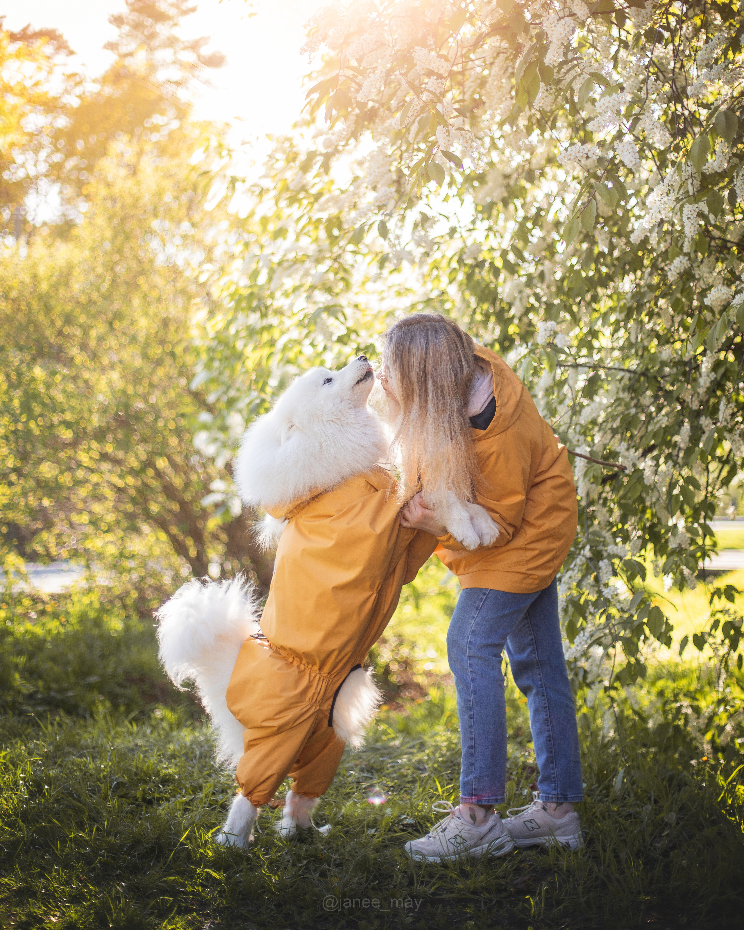 Фото собак, животных весной. Фотограф анималист в Москве Майорова Евгения