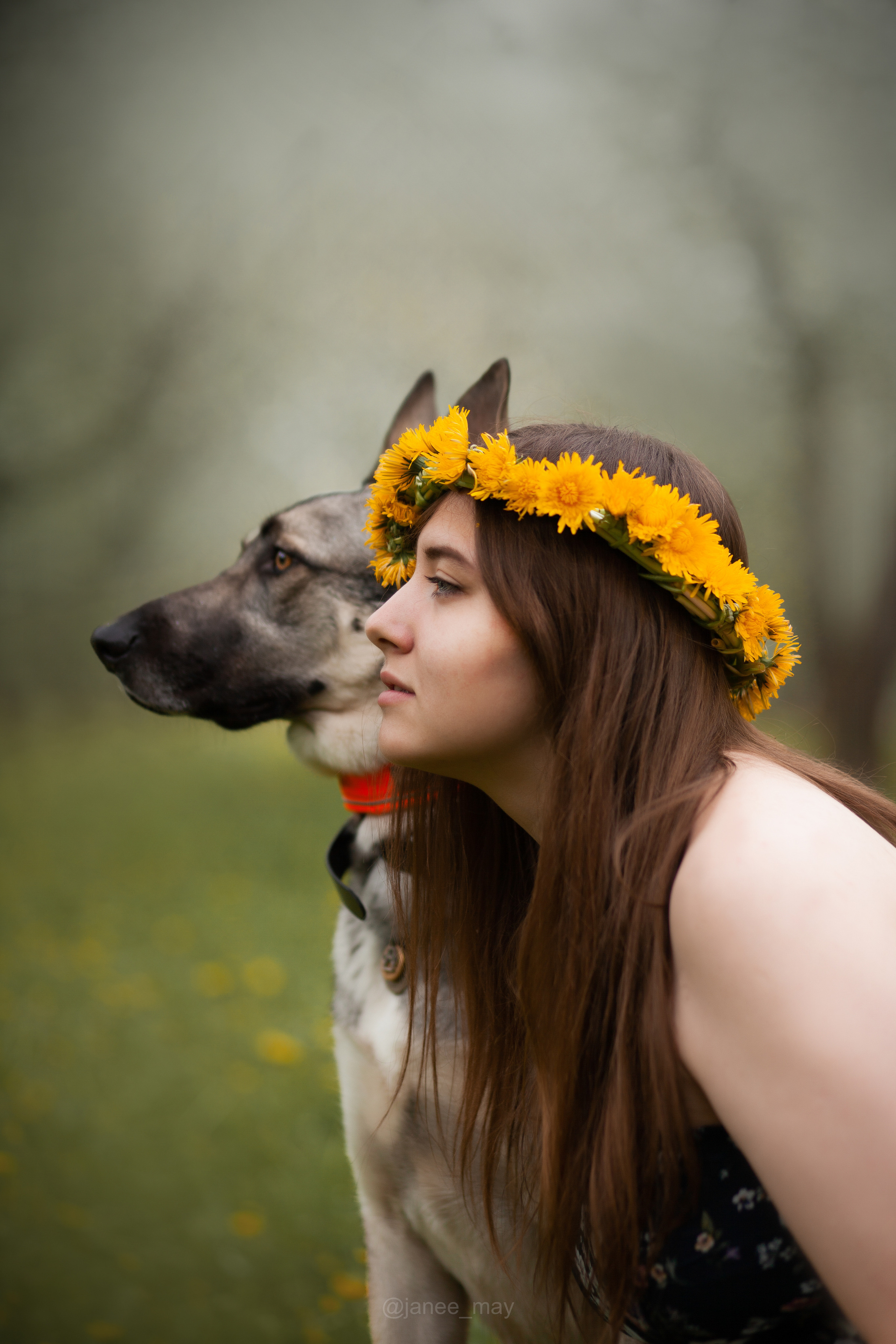Фото собак, животных весной. Фотограф анималист в Москве Майорова Евгения