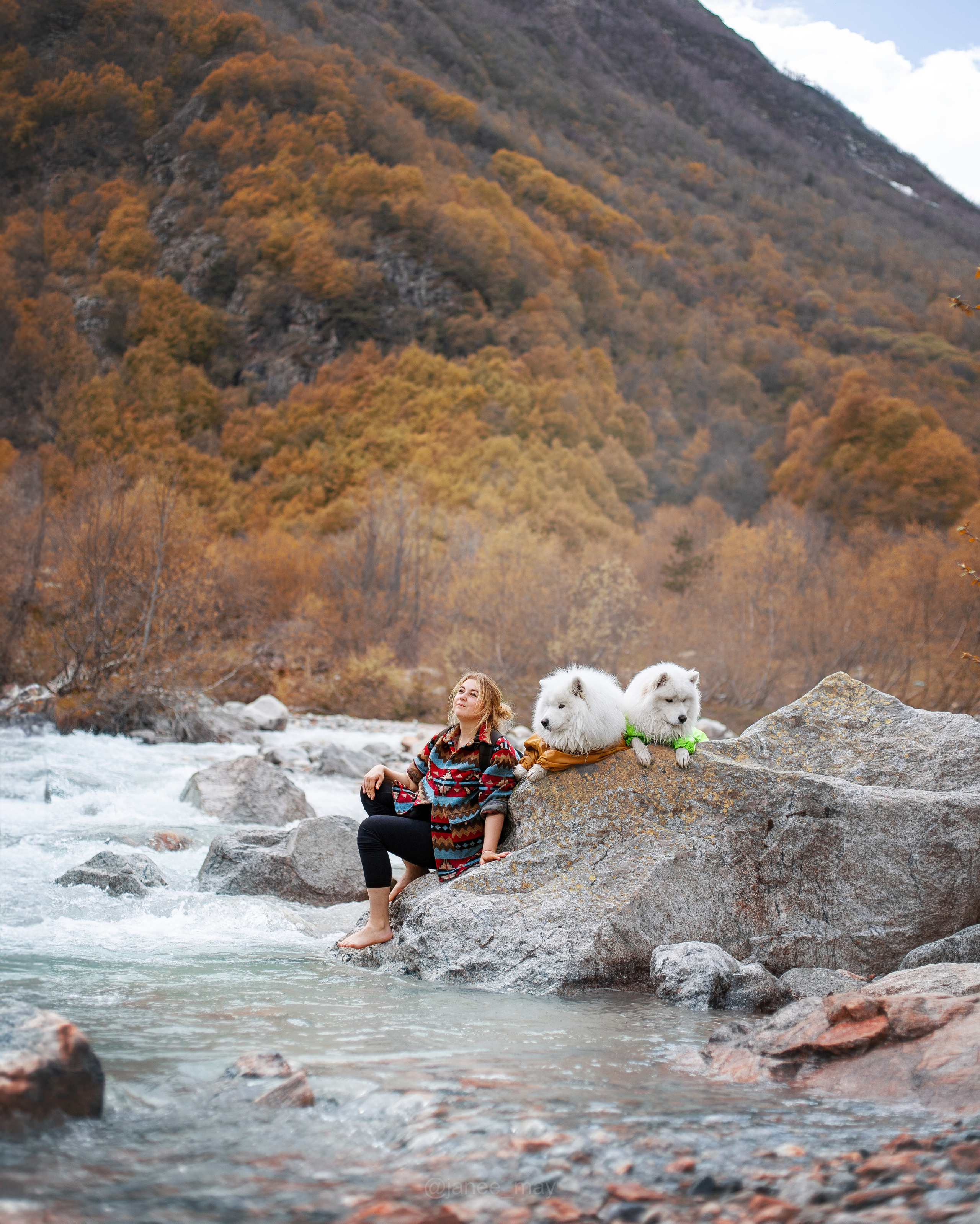 Фото собак, животных осенью. Фотограф анималист в Москве Майорова Евгения