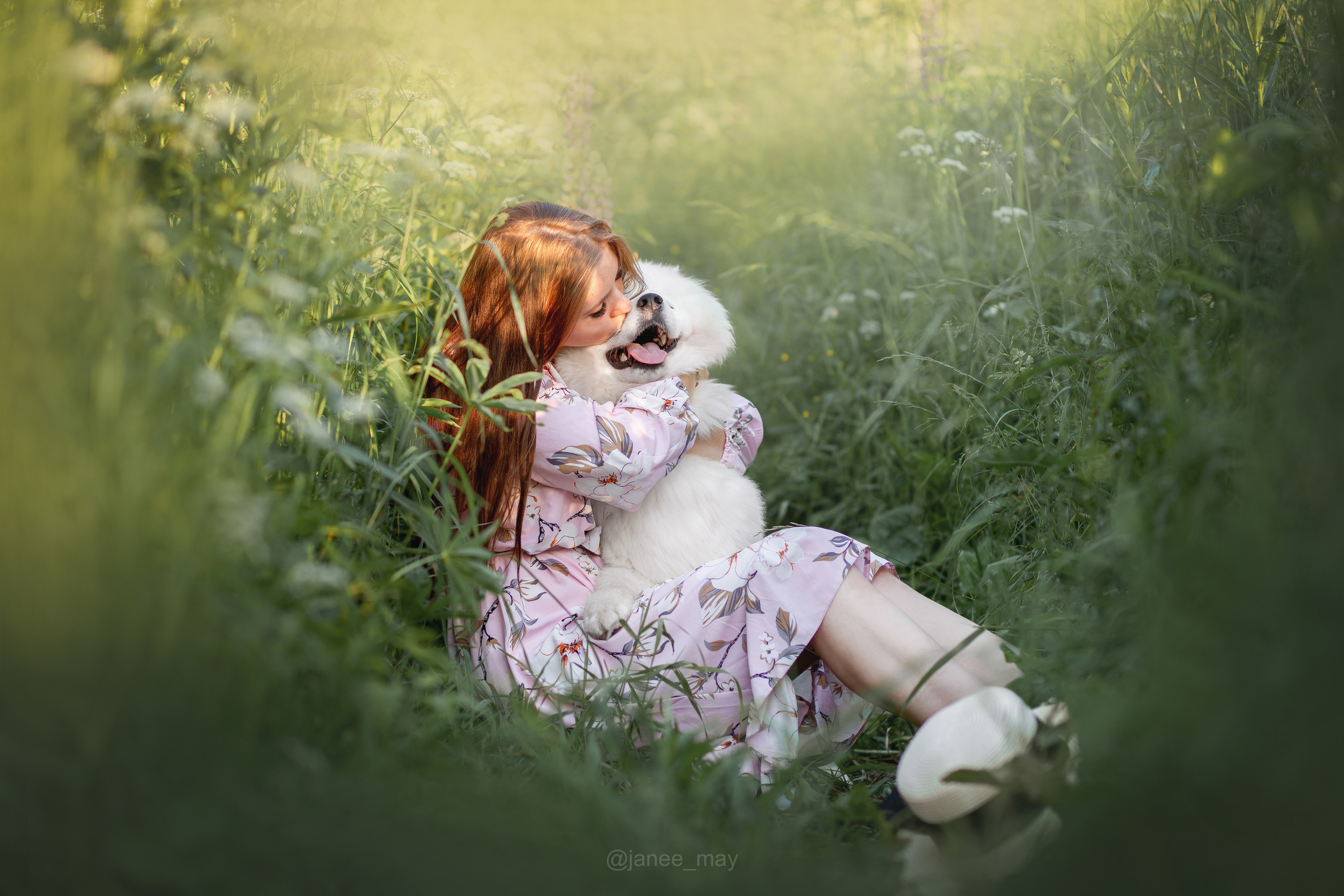 Фото собак, животных летом. Фотограф анималист в Москве Майорова Евгения