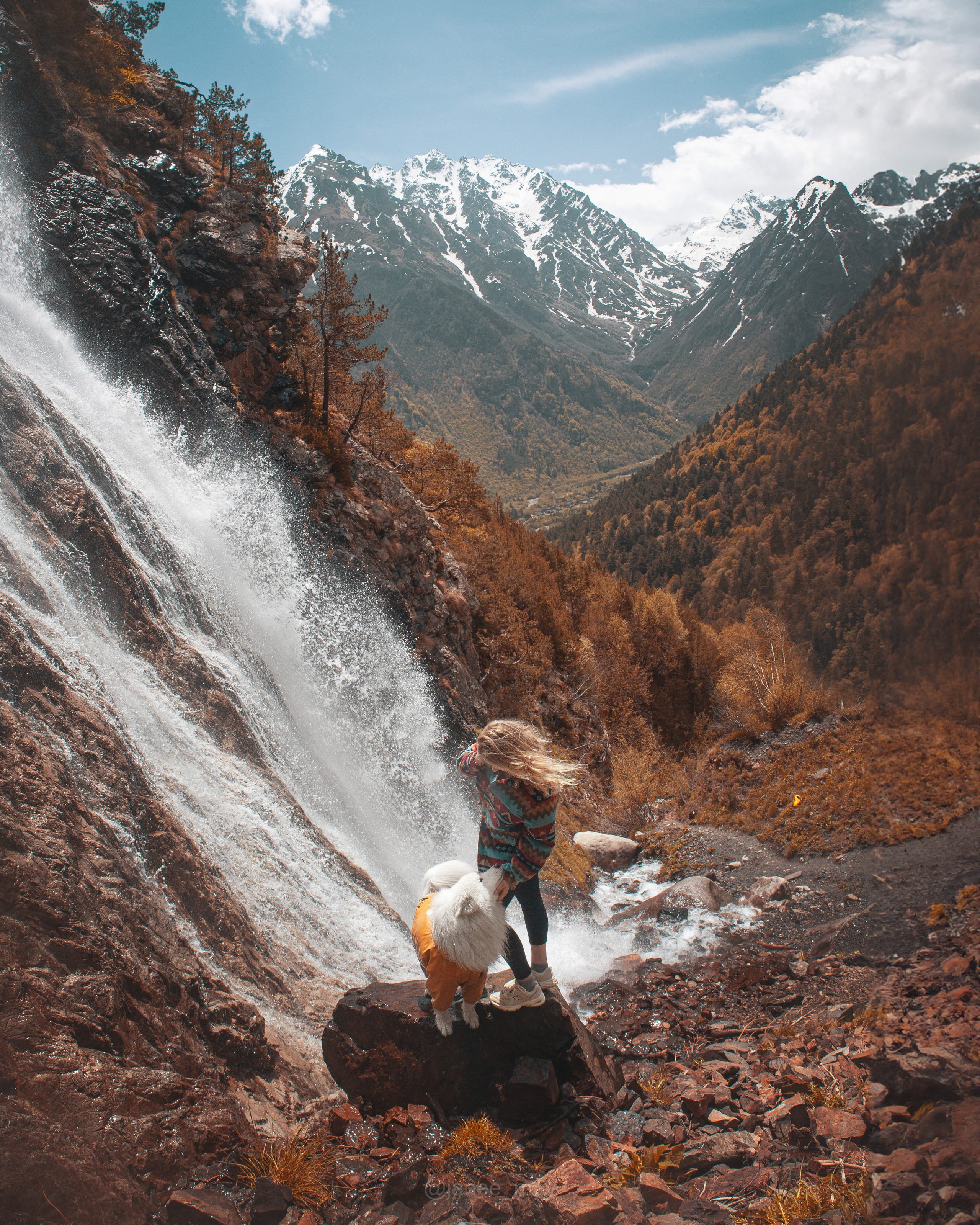 Фото собак, животных осенью. Фотограф анималист в Москве Майорова Евгения