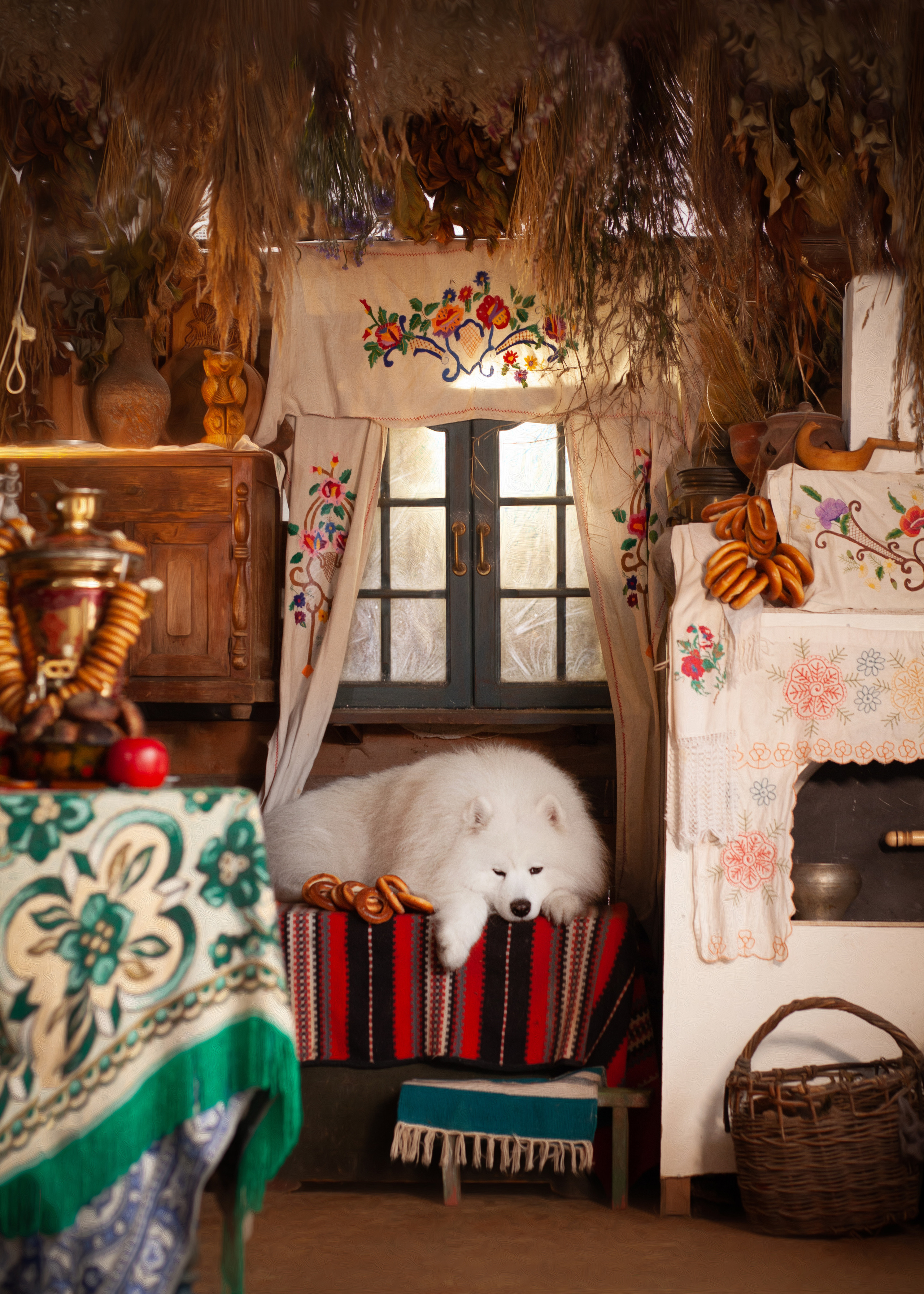 Фотосъемка собак в студии. Фотограф анималист в Москве Майорова Евгения