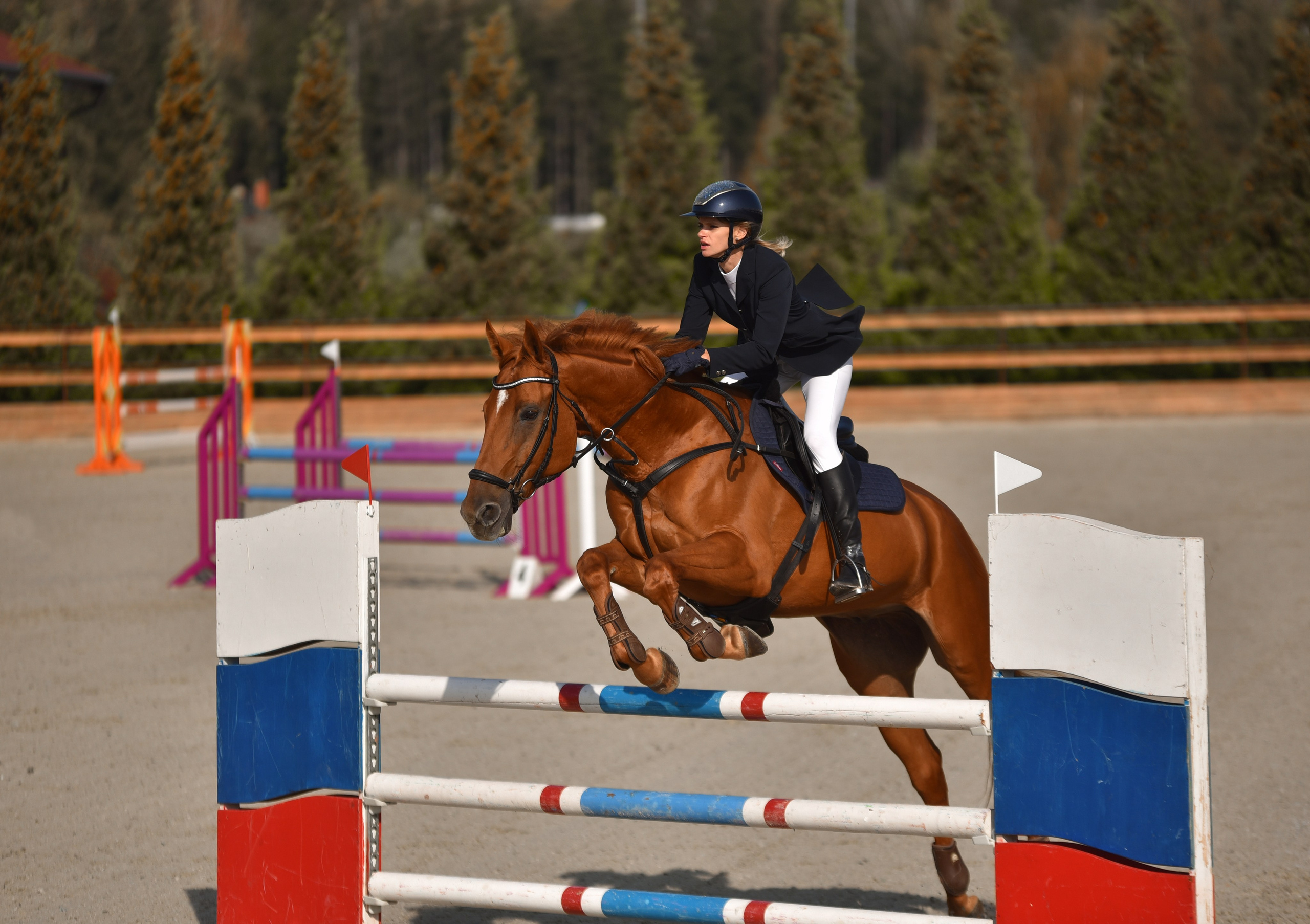 Репортажная съемка конных мероприятий. Конный фотограф из Москвы Ирина Бондаркова