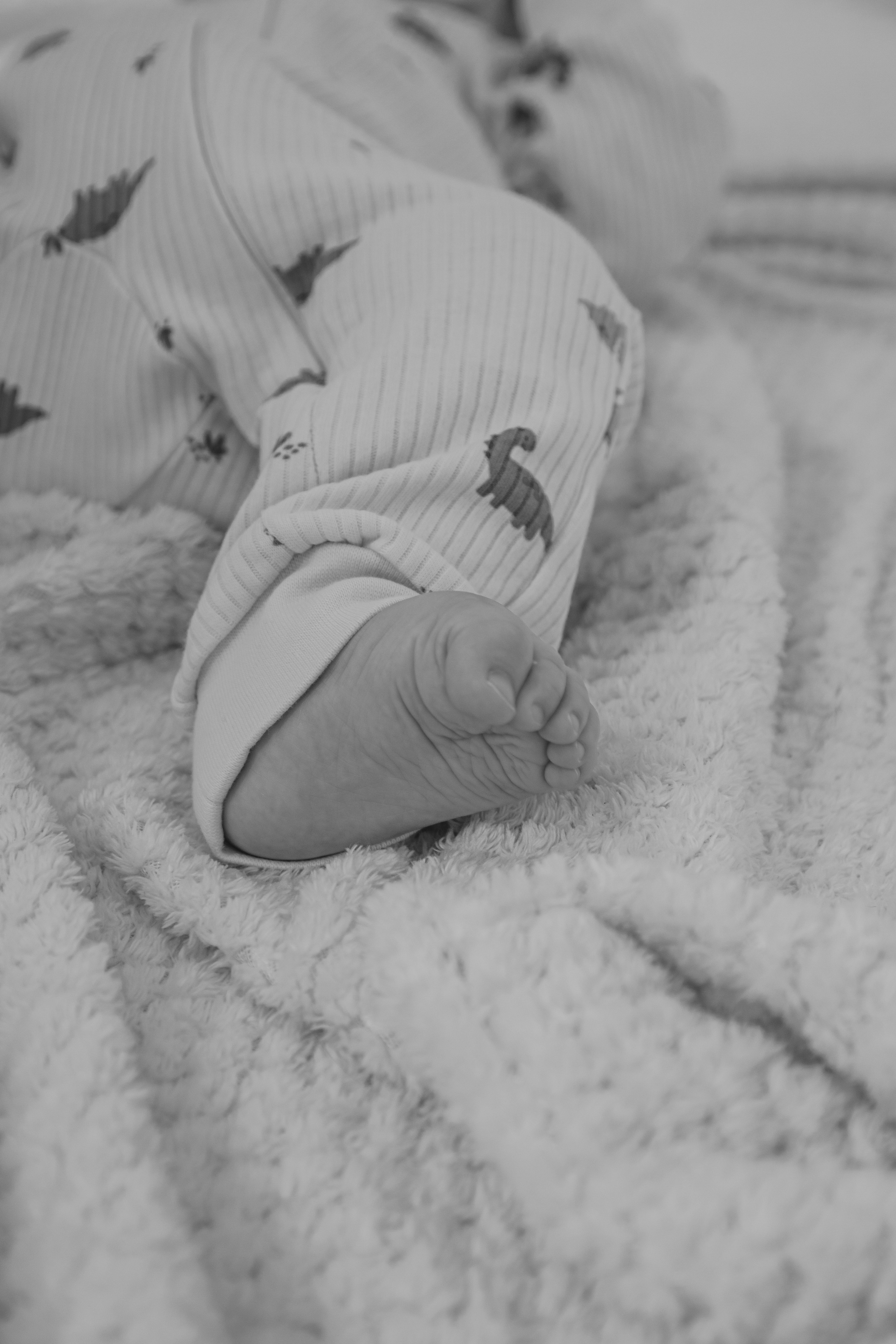 Васе — 6. Фотограф Анастасия Сонина