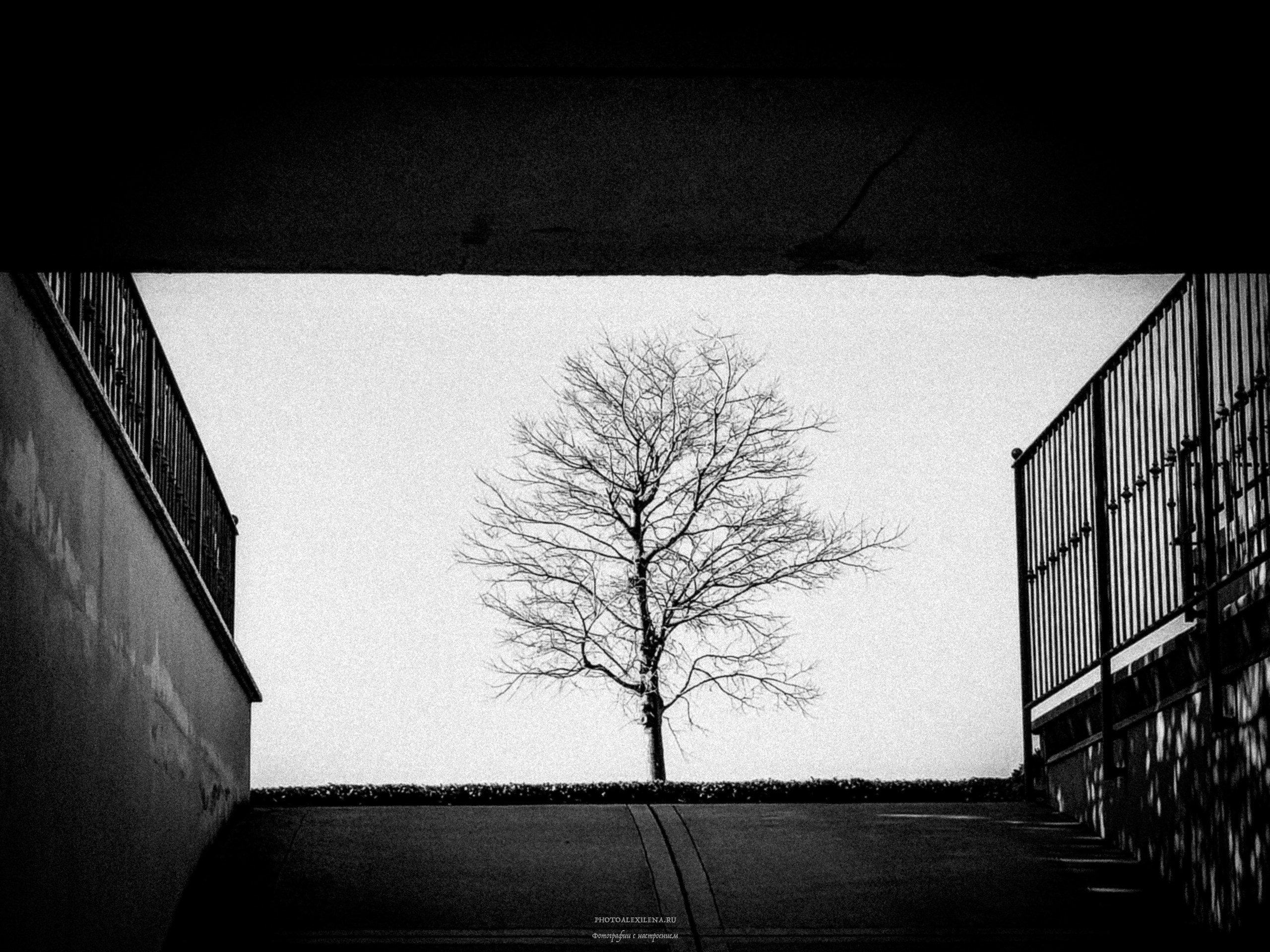 Сирмионе-очаровательный городок на озере Гарда. Авторские стильные фотокартины