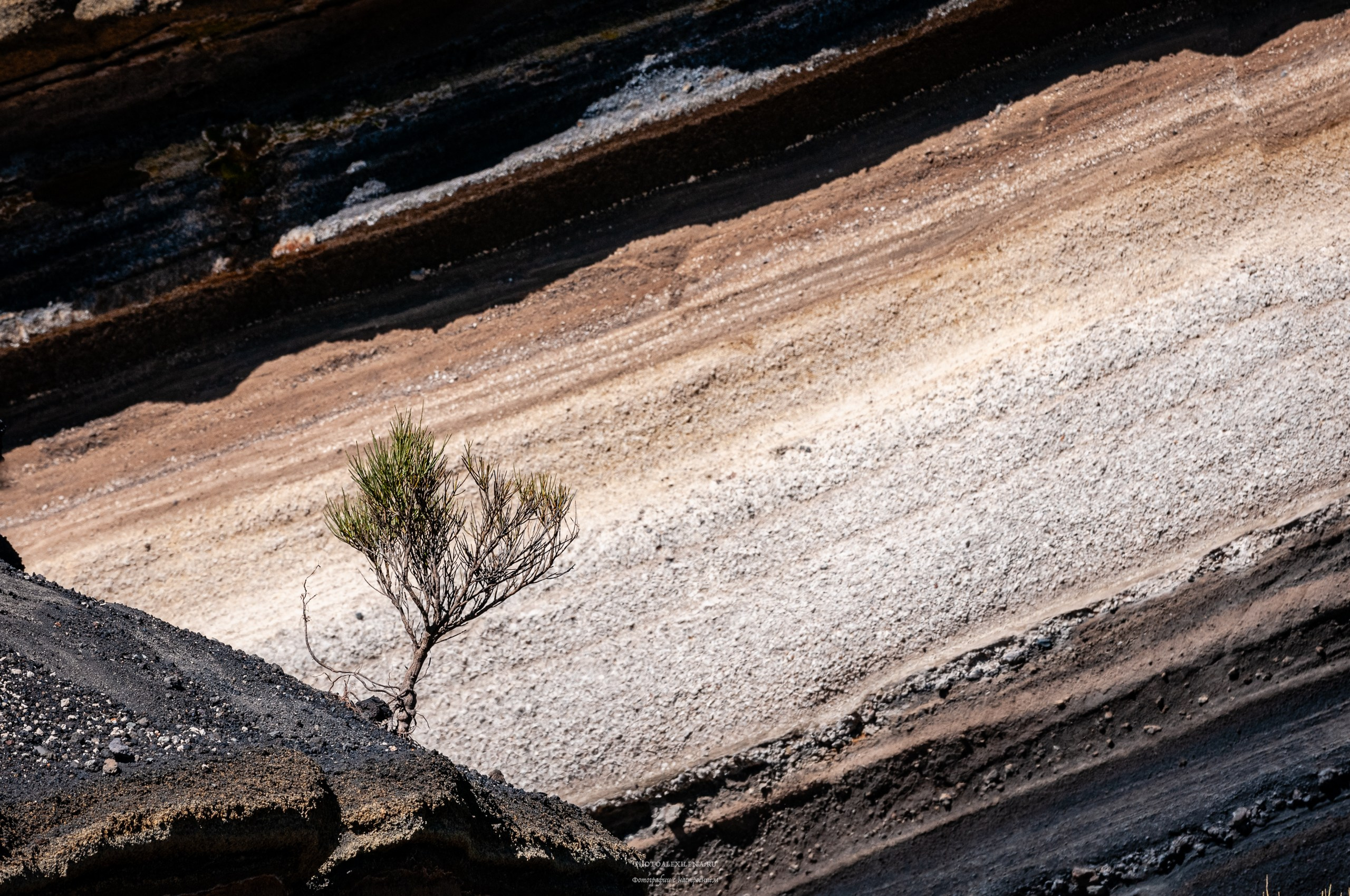 Осязаемая красота. Авторские стильные фотокартины