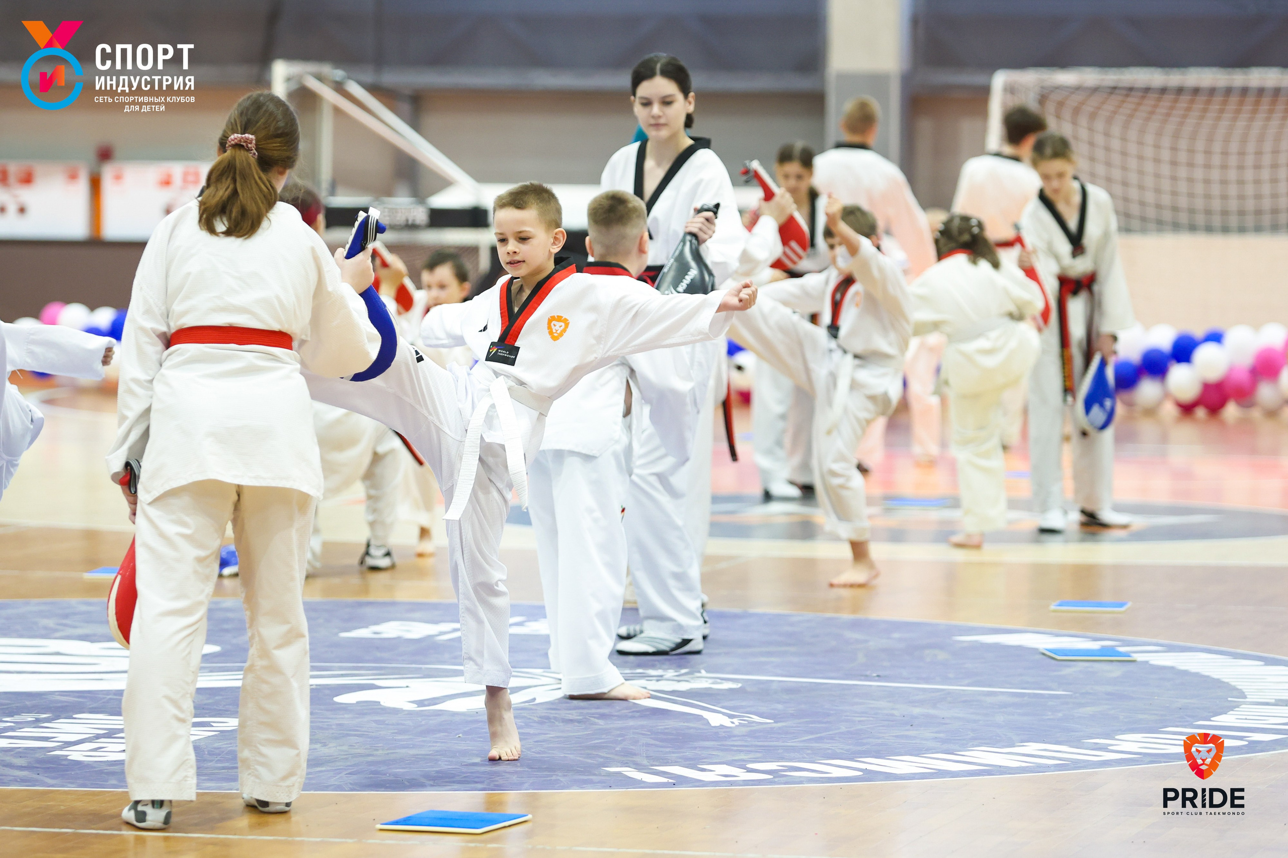 Аттестация по тхэквондо. Фотограф Дарья Попова