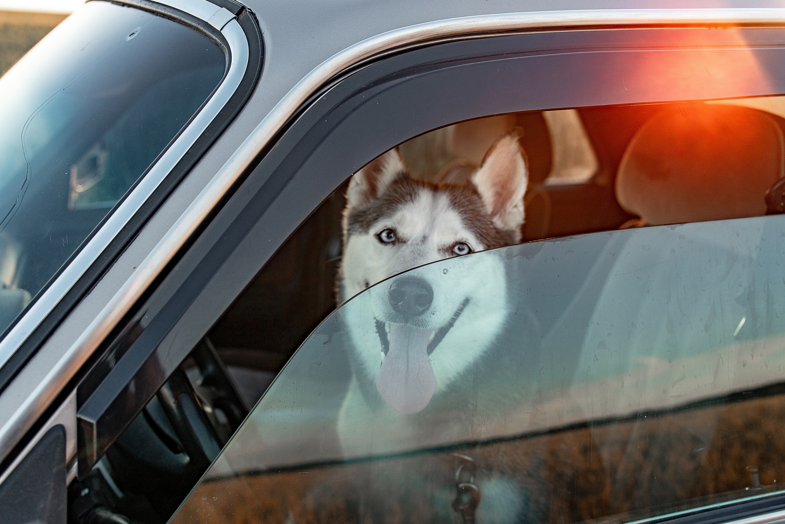 Лидия и Александр. Наталья Градова. Семейный и детский фотограф в Нижнем Новгороде