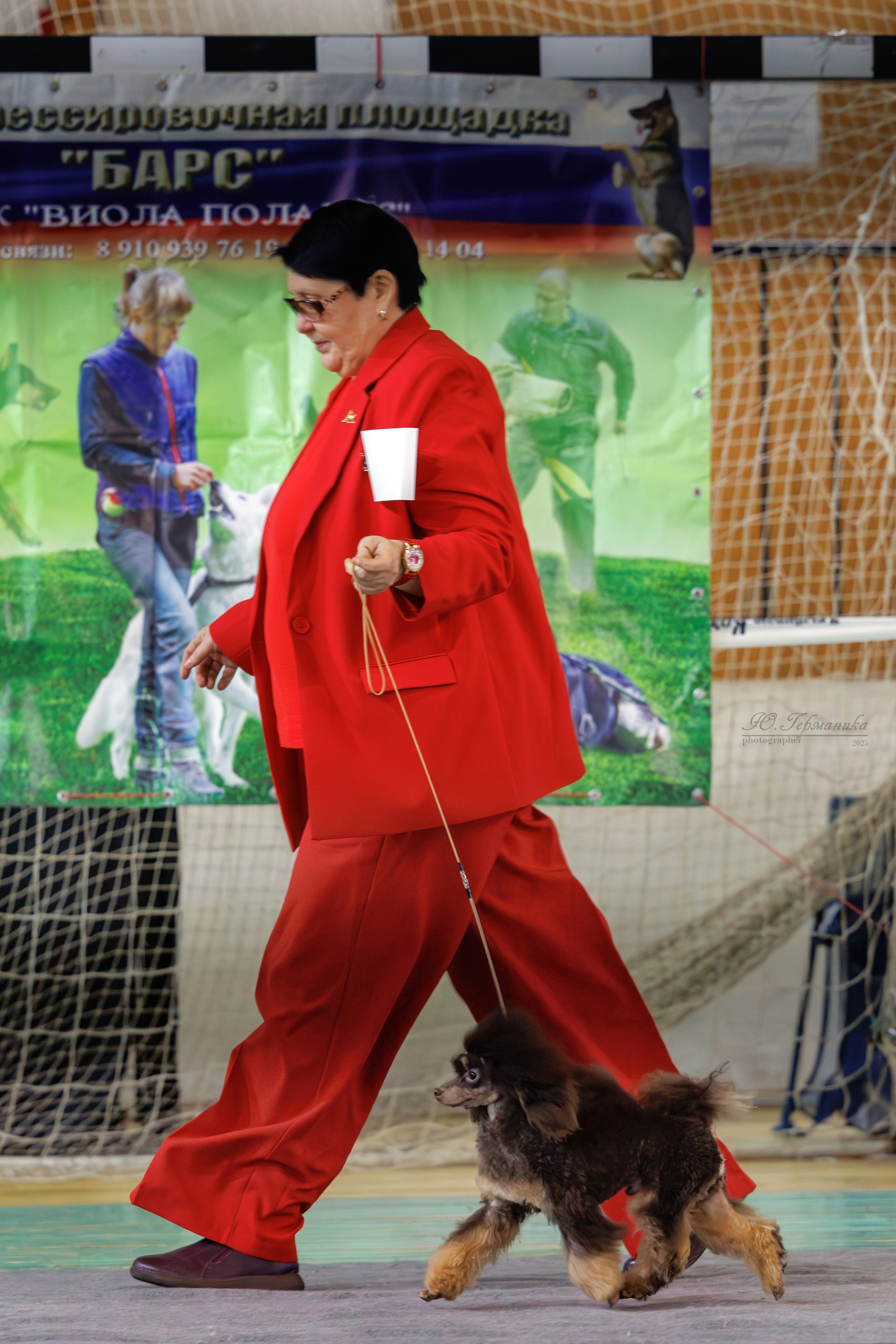 Тверь 21.12.2025. Фотограф-анималист Юлия Германика