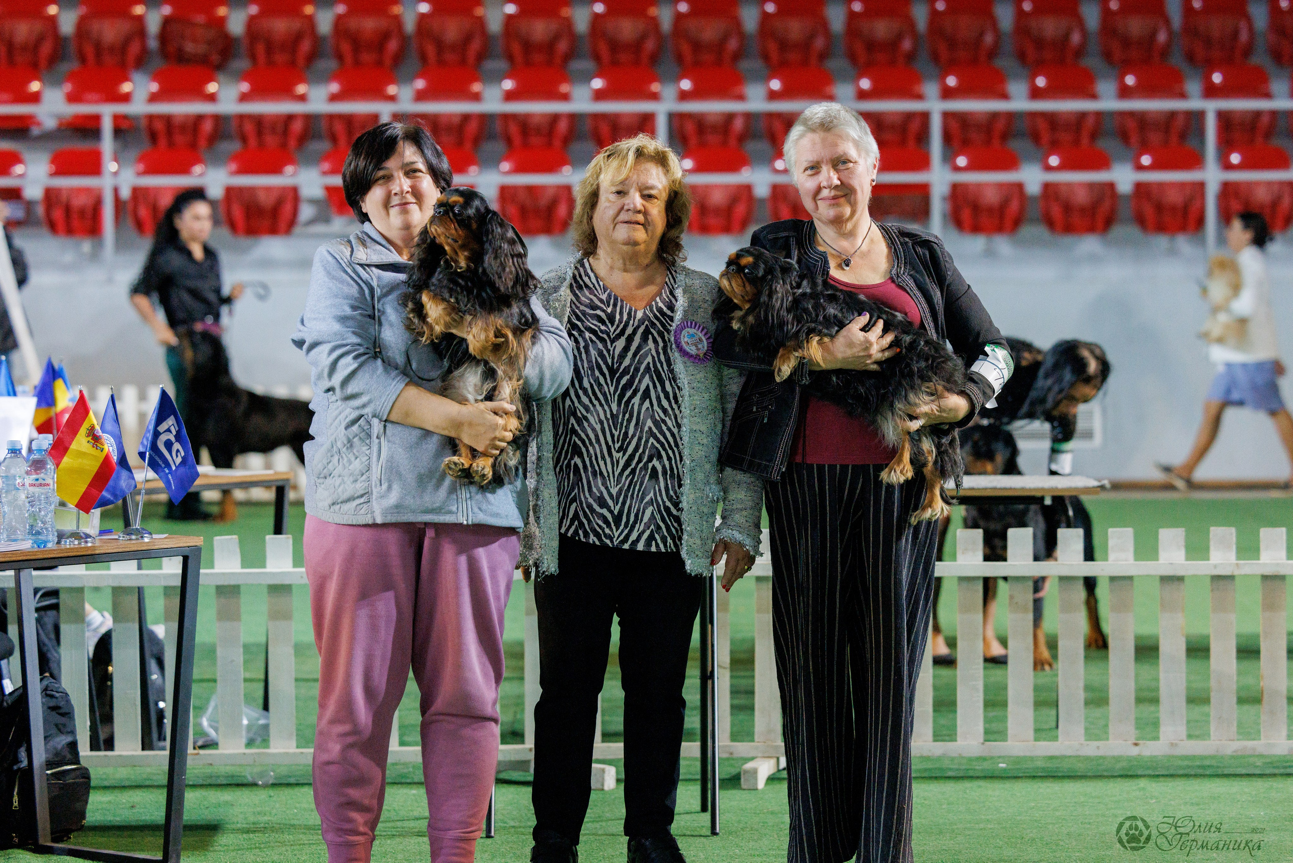 Грузия,Телави 2хCACIB 19-20.10.2024. Фотограф-анималист Юлия Германика