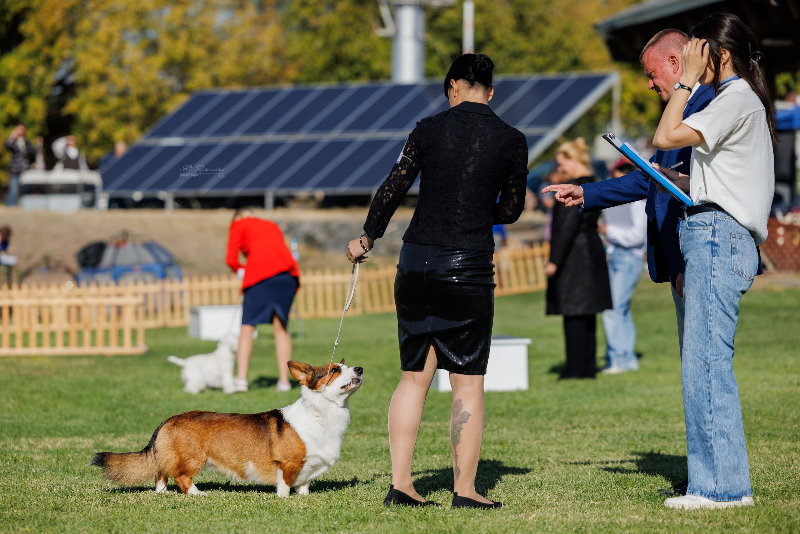 Ереван 14-16.10.2025. Фотограф-анималист Юлия Германика