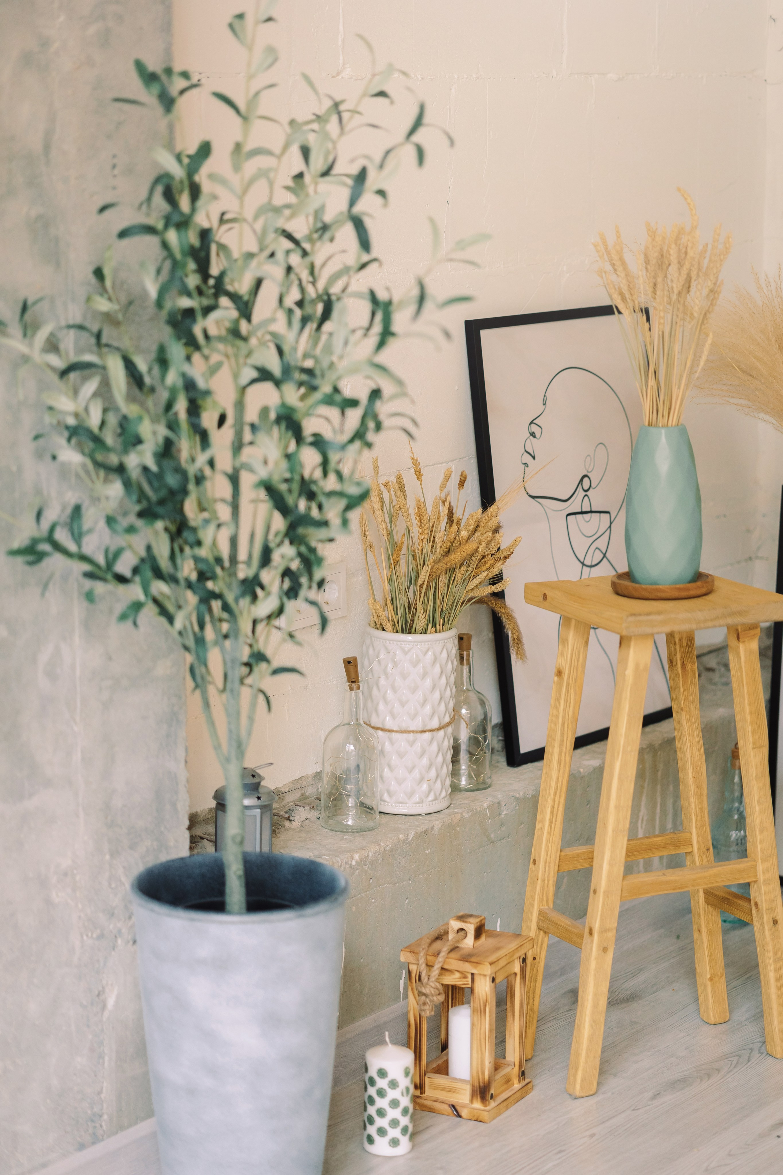 Магазин Friend of mine. Фотограф-анималист Елена Радченко, Москва