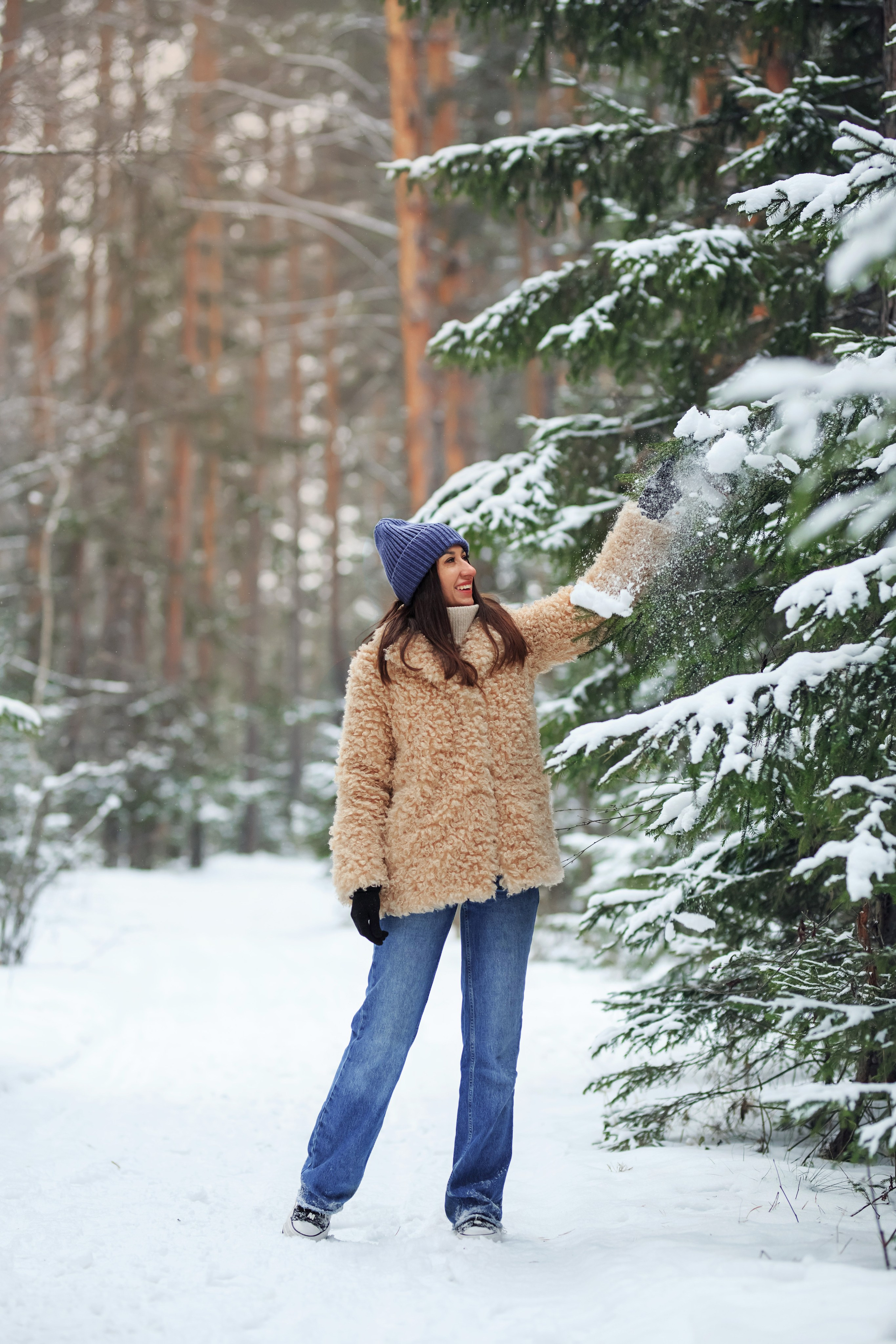 Зимний лес. Сайт
