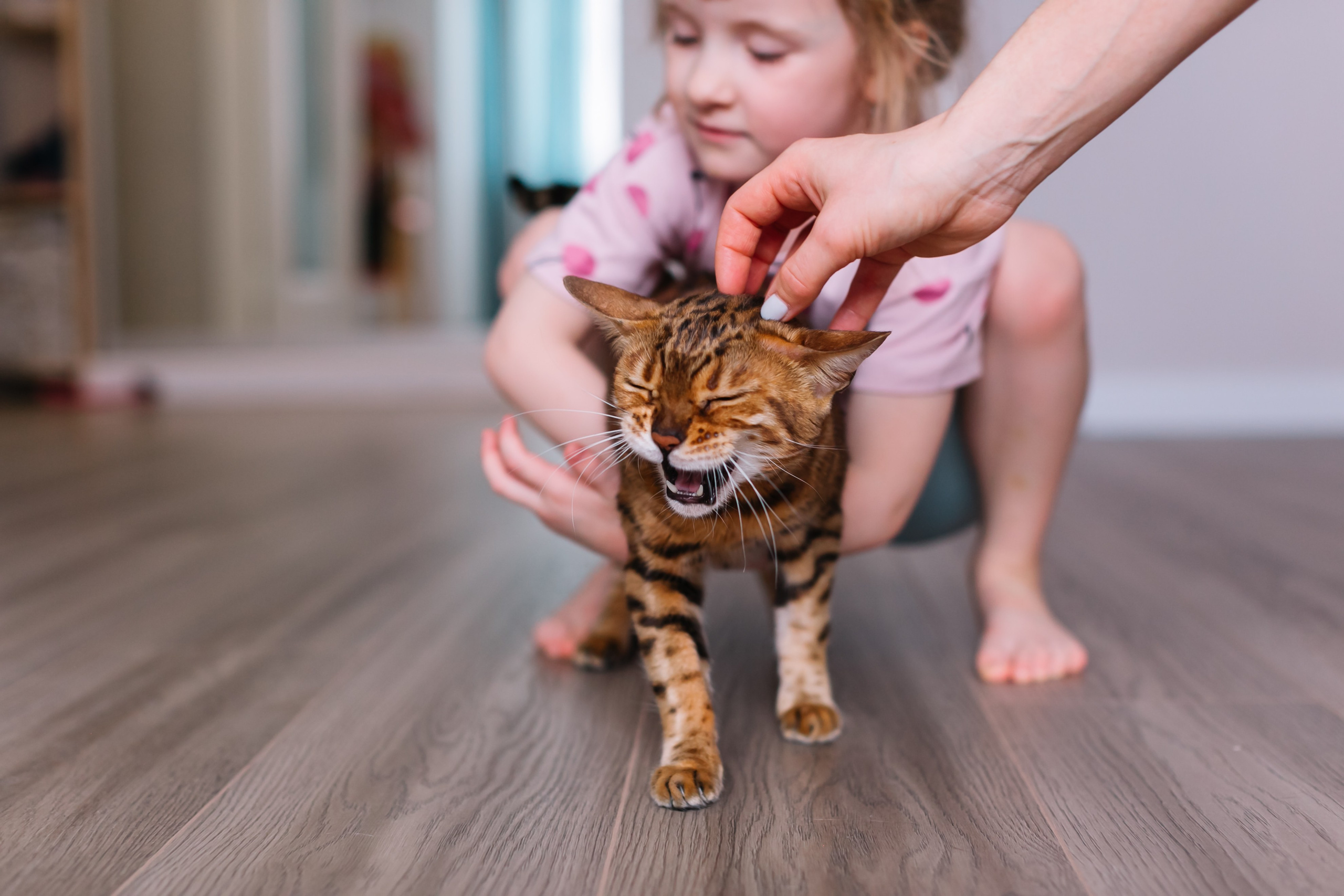 семейный детский фотограф детский новосибирск