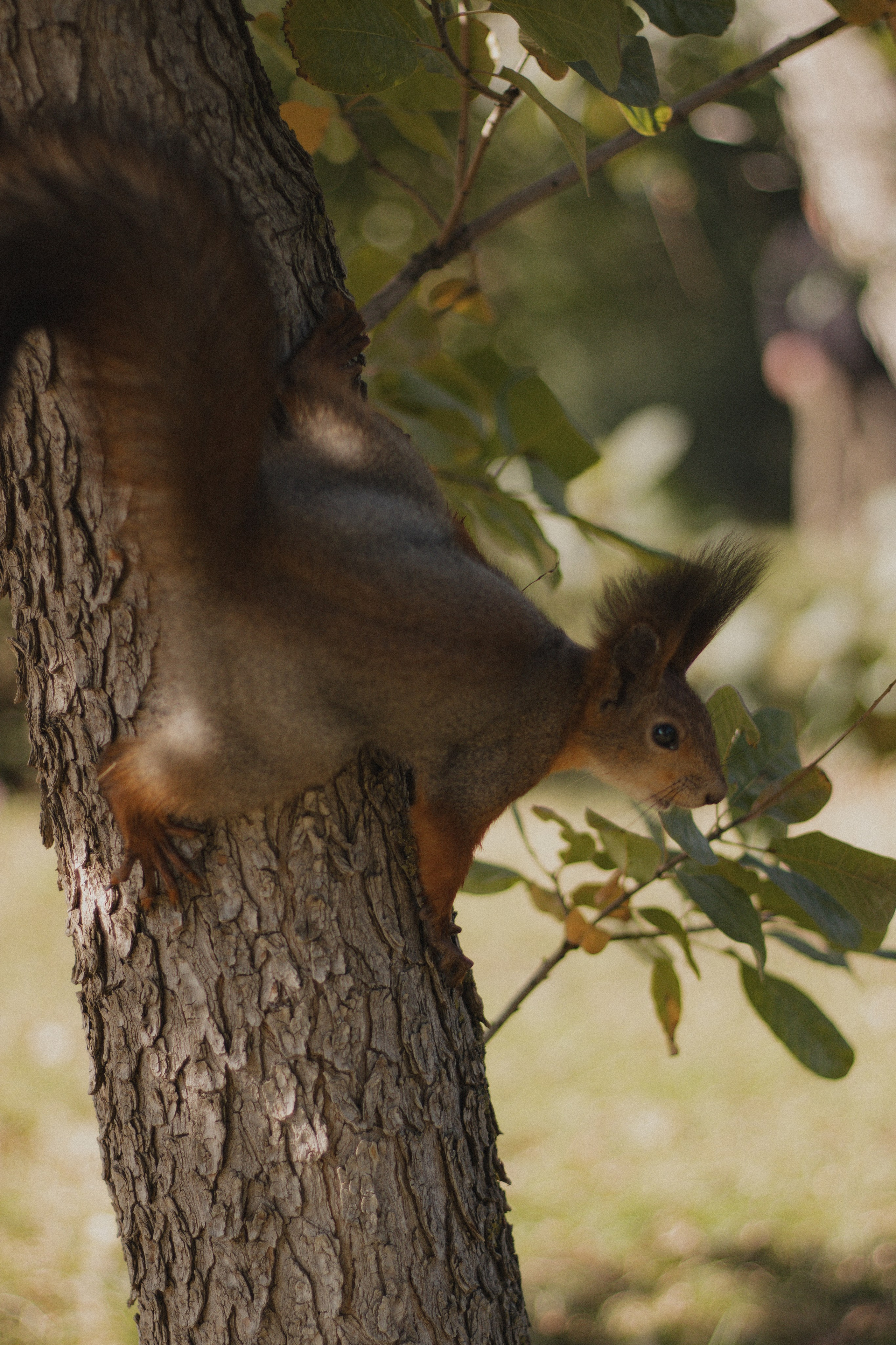 Margarita+Diana+Rita. Lusy Redina | Семейный Фотограф | Волгоград