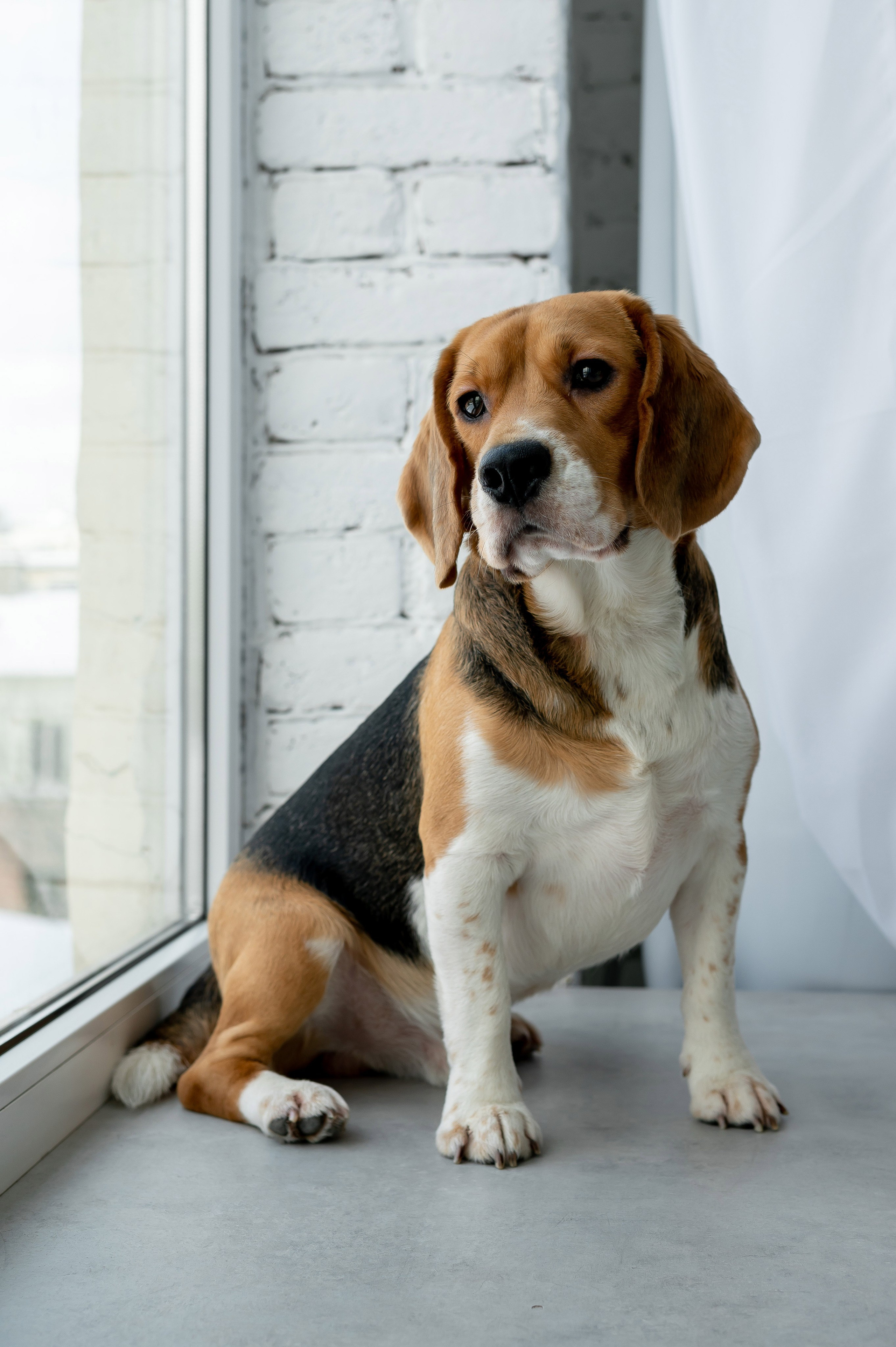 Максим, Катя, Витя и Лёня. Портретный, семейный и свадебный фотограф в Санкт-Петербурге и в Пушкине Ширяев Денис