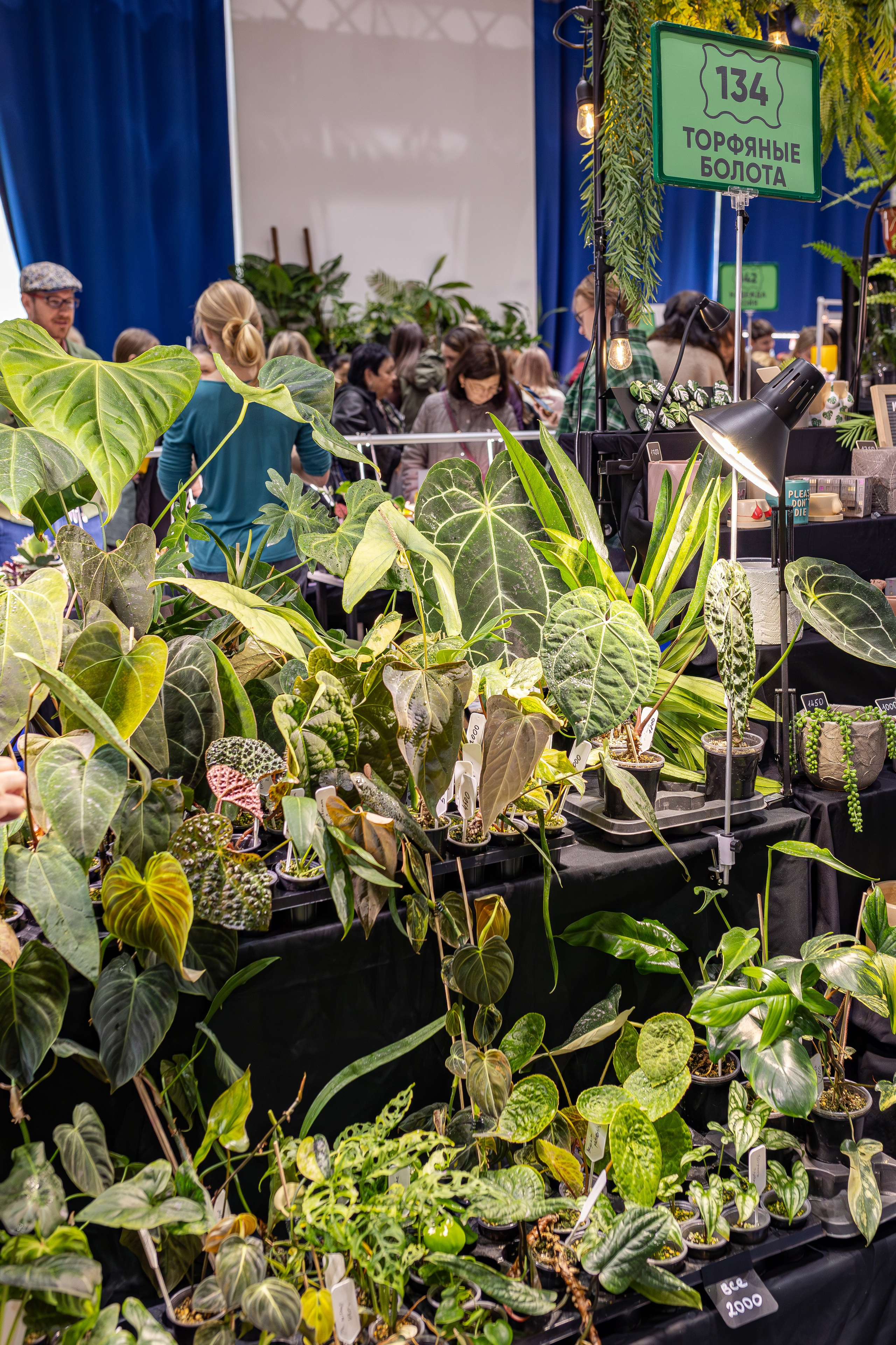 Монстериум апрель 2026. Александра Куликова фотограф, Москва