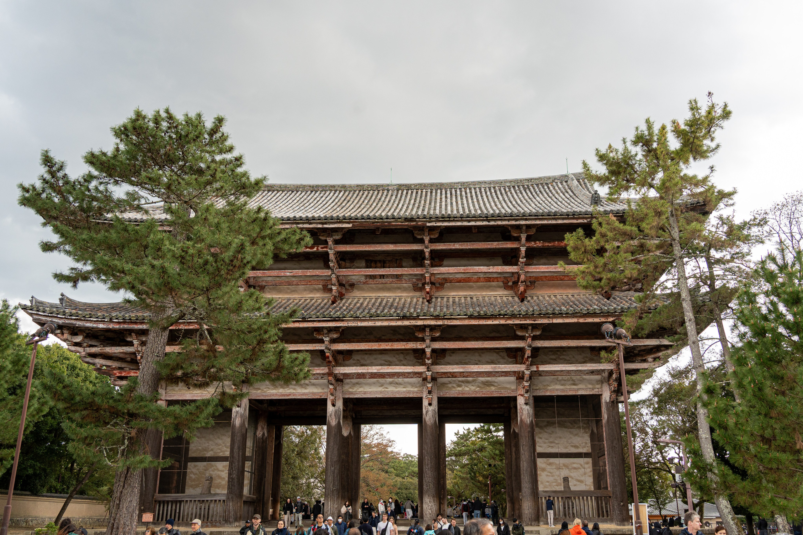 Япония, сакура. Творческие сьемки
