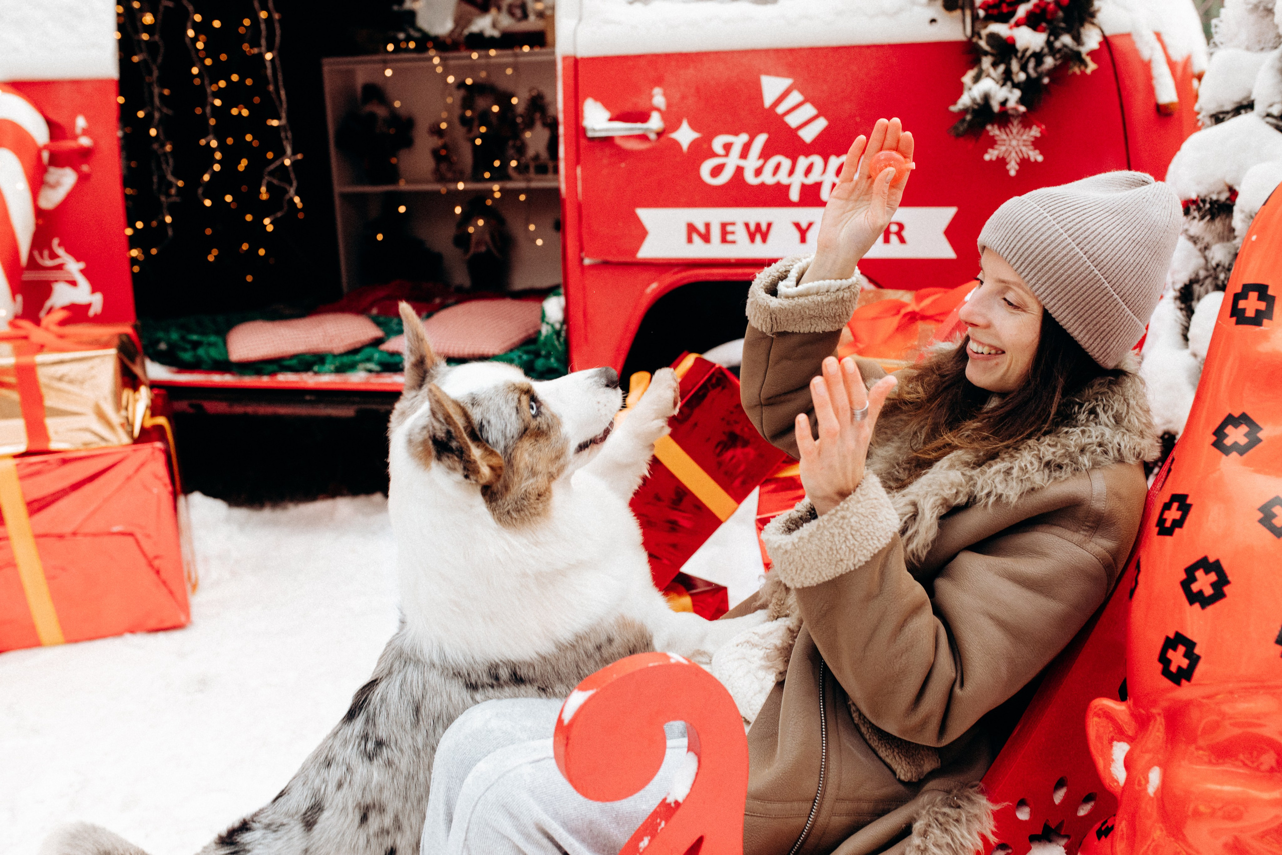 Маша и Дэф. Фотограф анималист в Москве Ольга Агушева