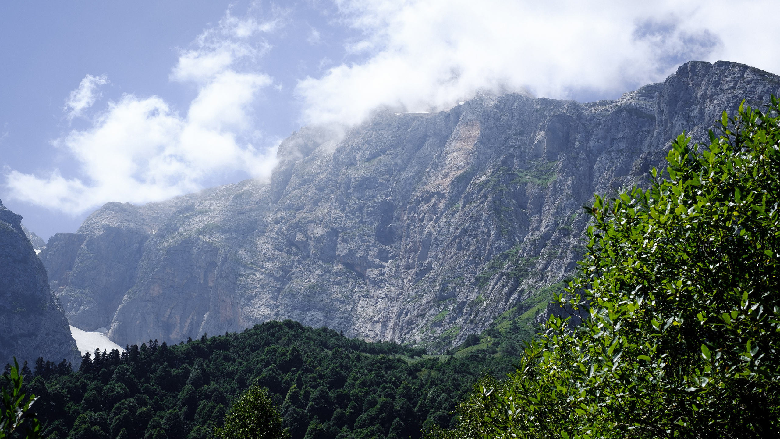 Тридцатка | август 2023