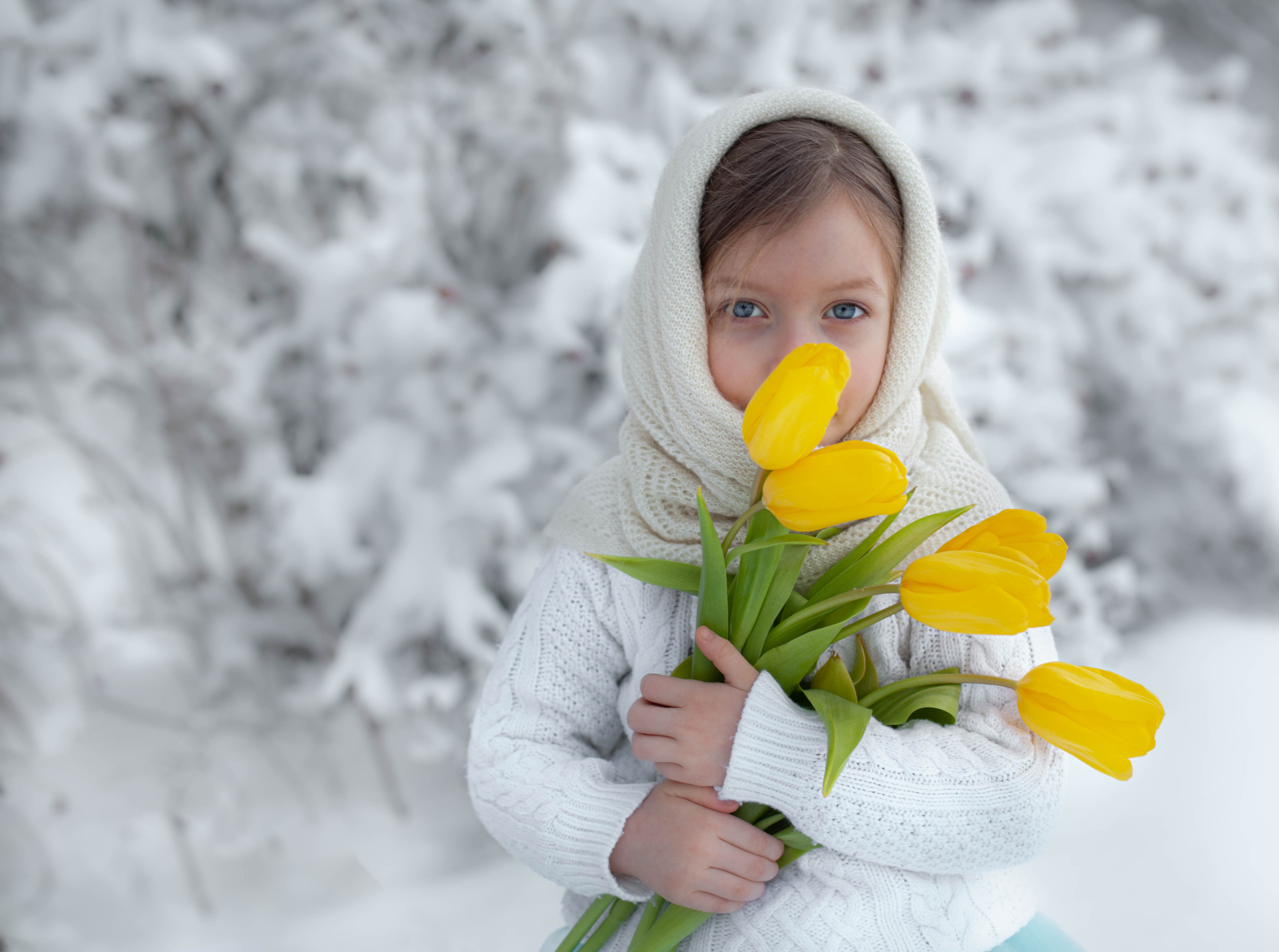 Тюльпаны на снегу. Семейный фотограф СПб и ЛО Татьяна Прилепко