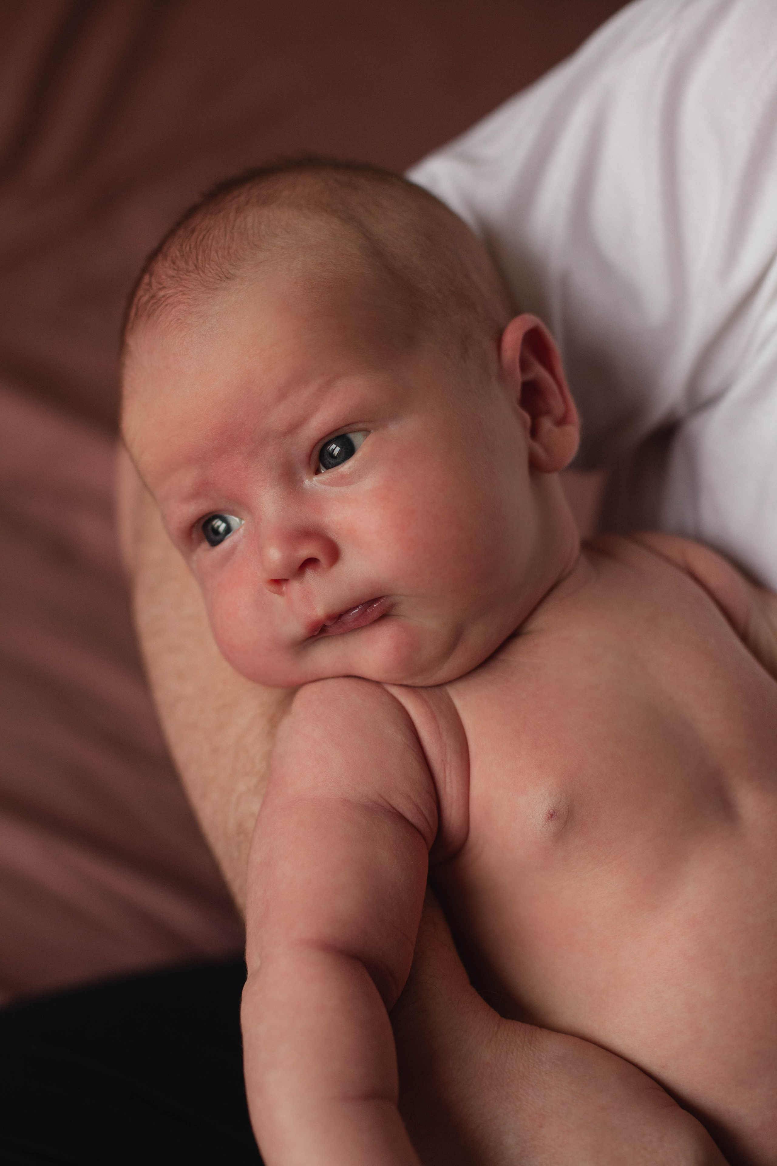 Главный герой, Лев. Семейный фотограф СПб и ЛО Татьяна Прилепко