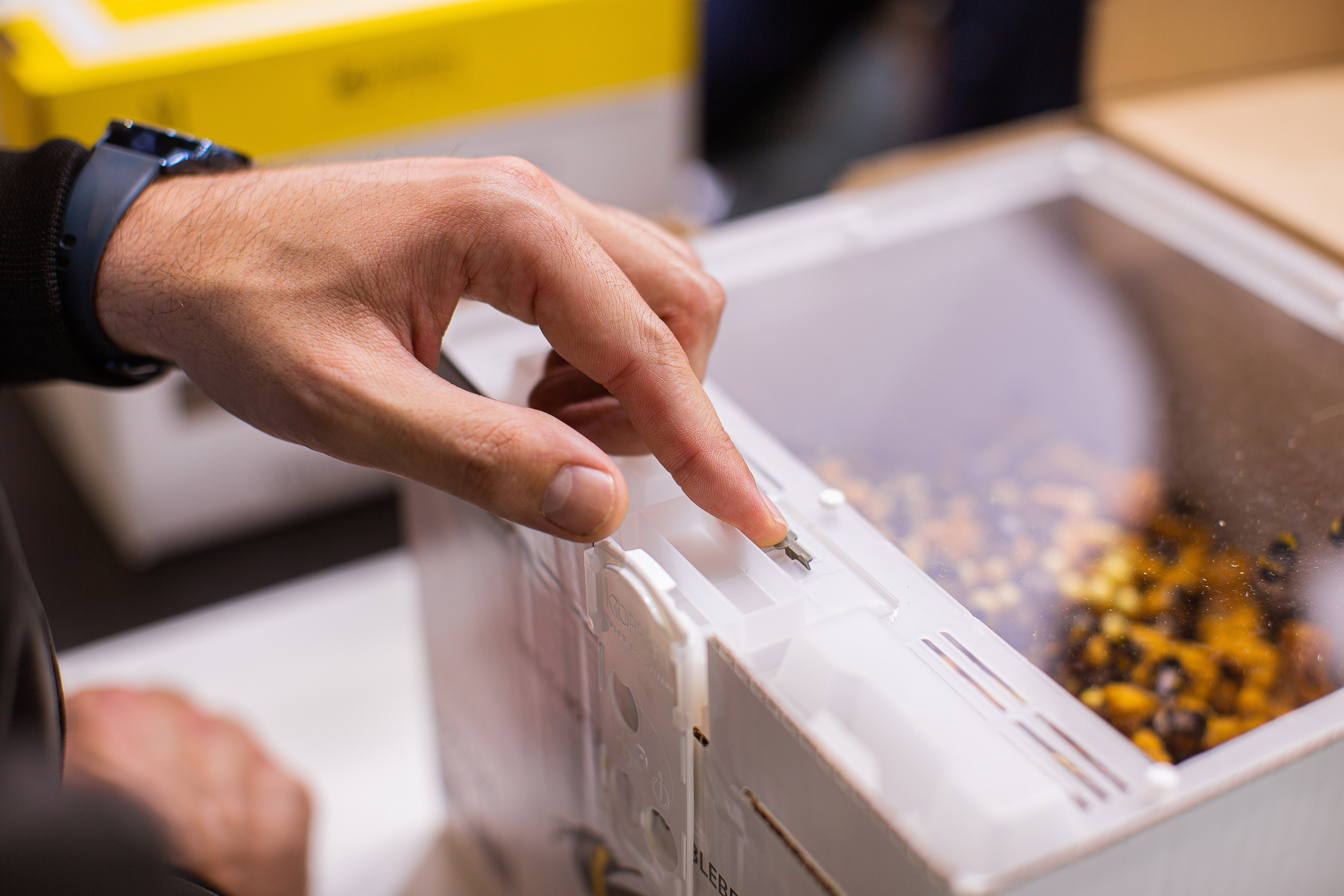 8/06/2021 ВДНХ. Фотограф НатаФото (Наталья Яковенко) Дмитров Москва Питер