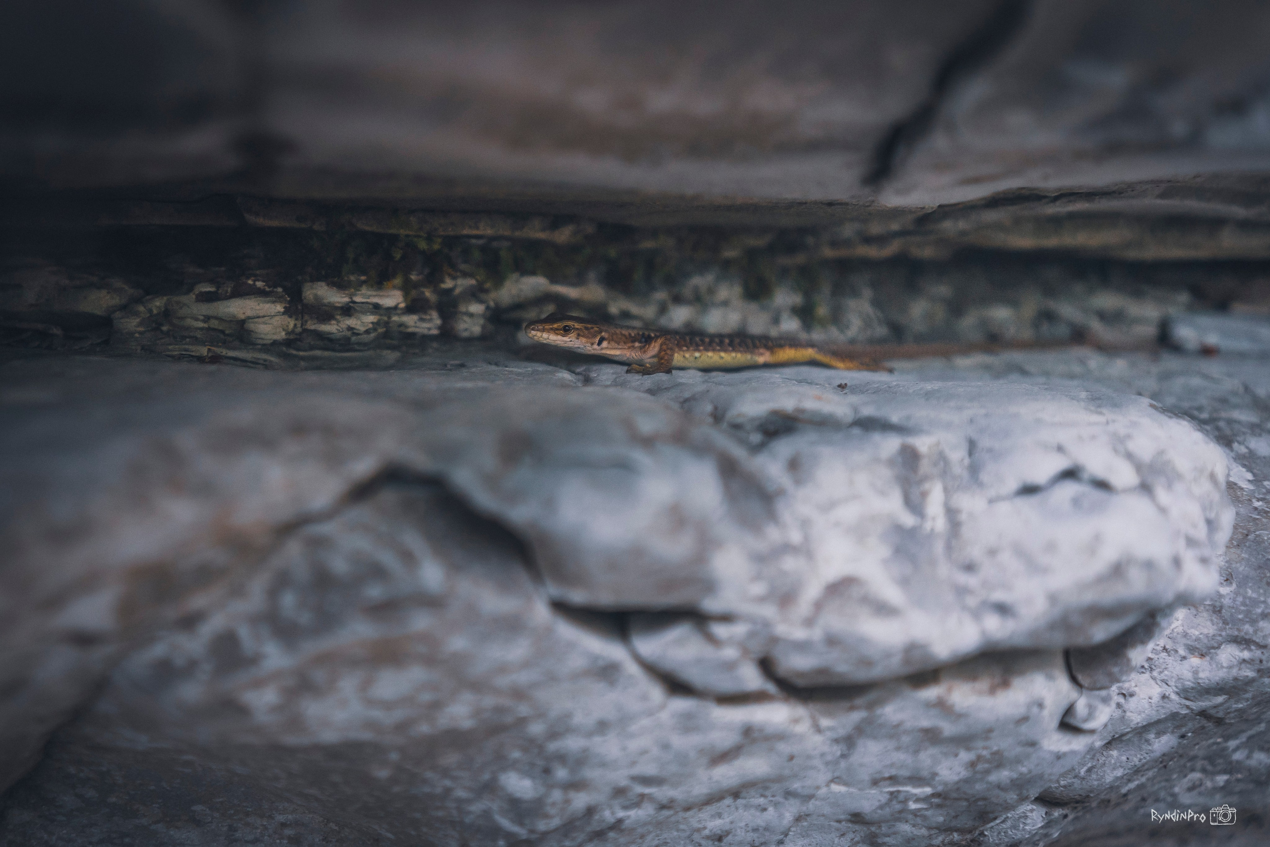 Поход на водопады Куаго с командой Мадьяр 23.07.24. Репортажный фотограф в Краснодаре Рындин Дмитрий