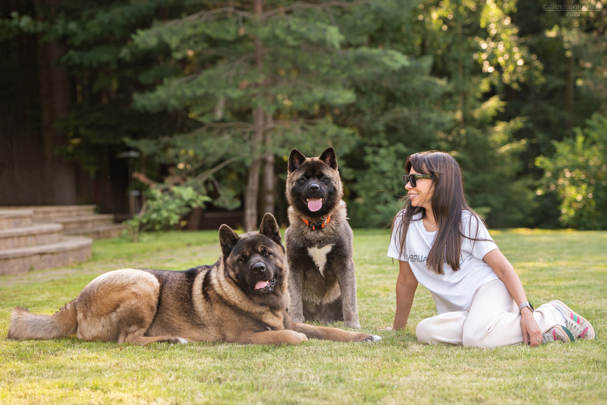 Фотосессия с собакой. Фотограф собак в Москве и Московской области Иванушкина Мария