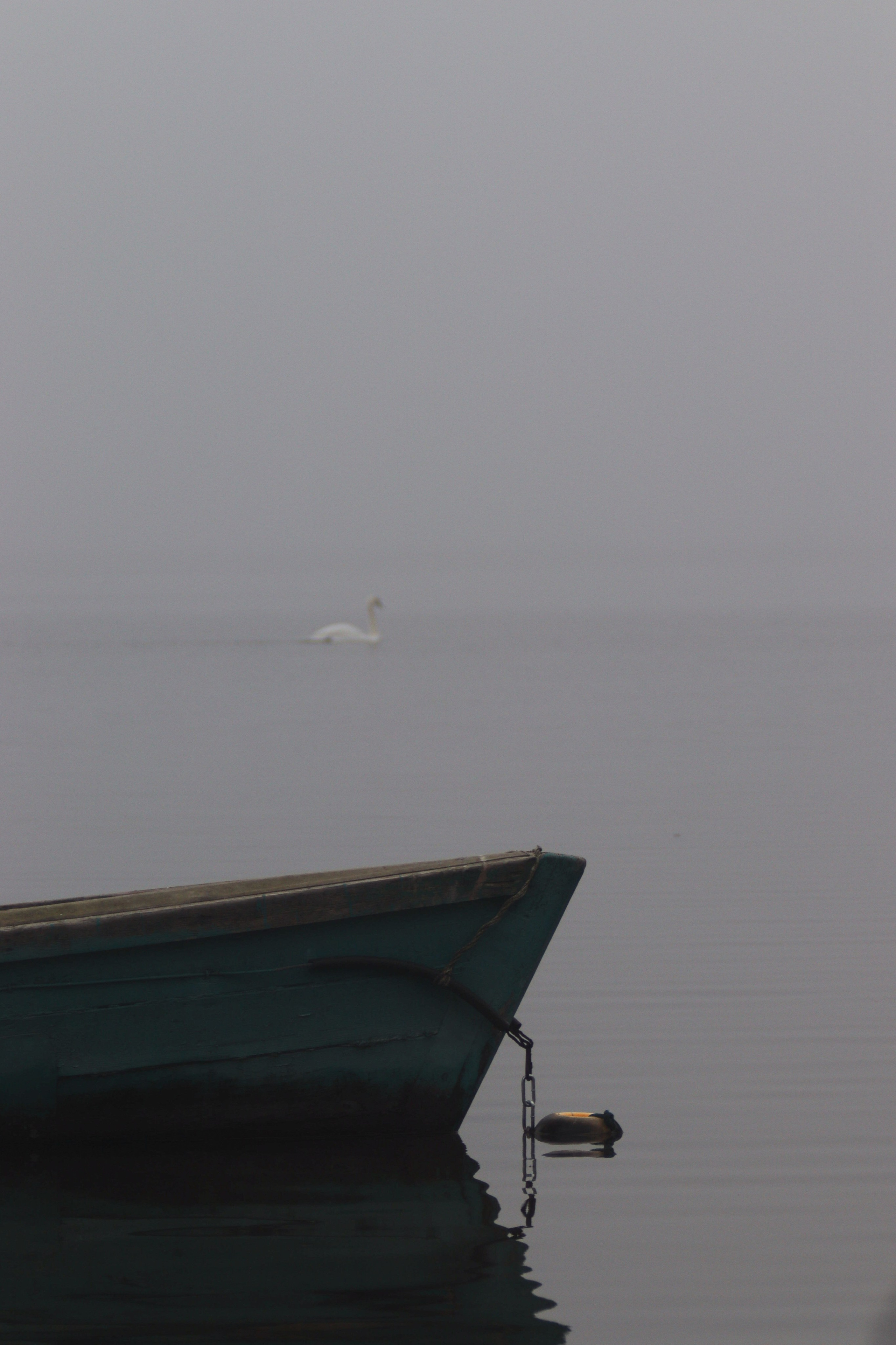 Т У М А Н. — Digital Noise —