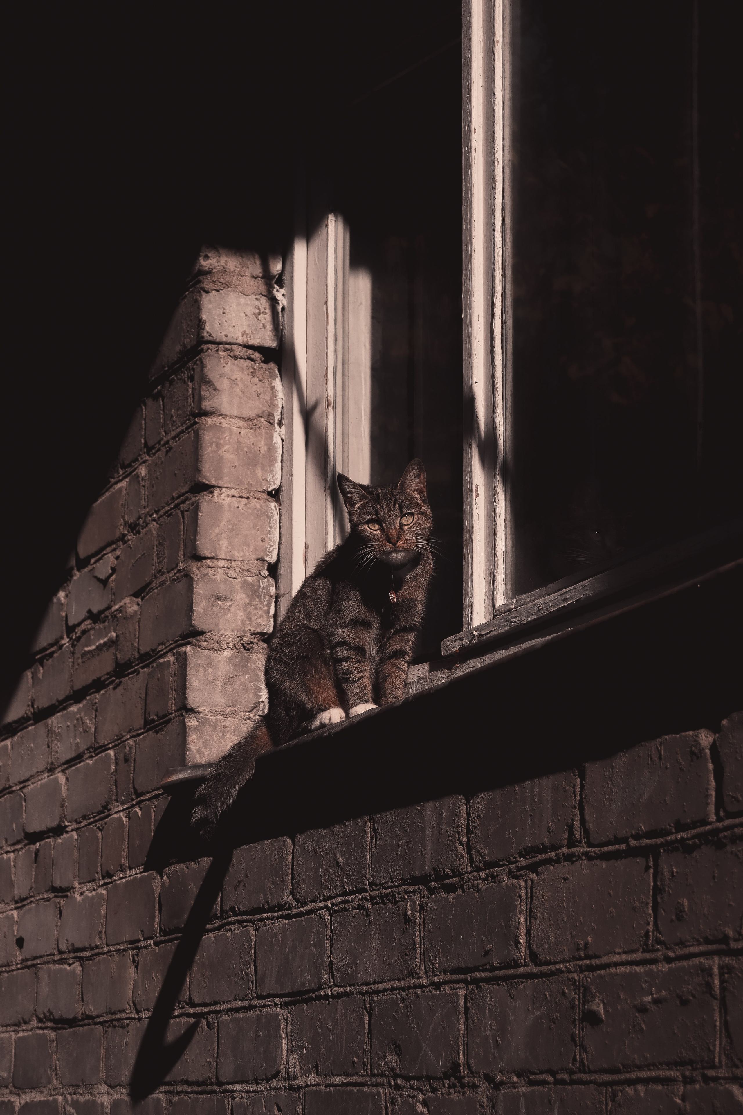 С Е П И Я. — Digital Noise —