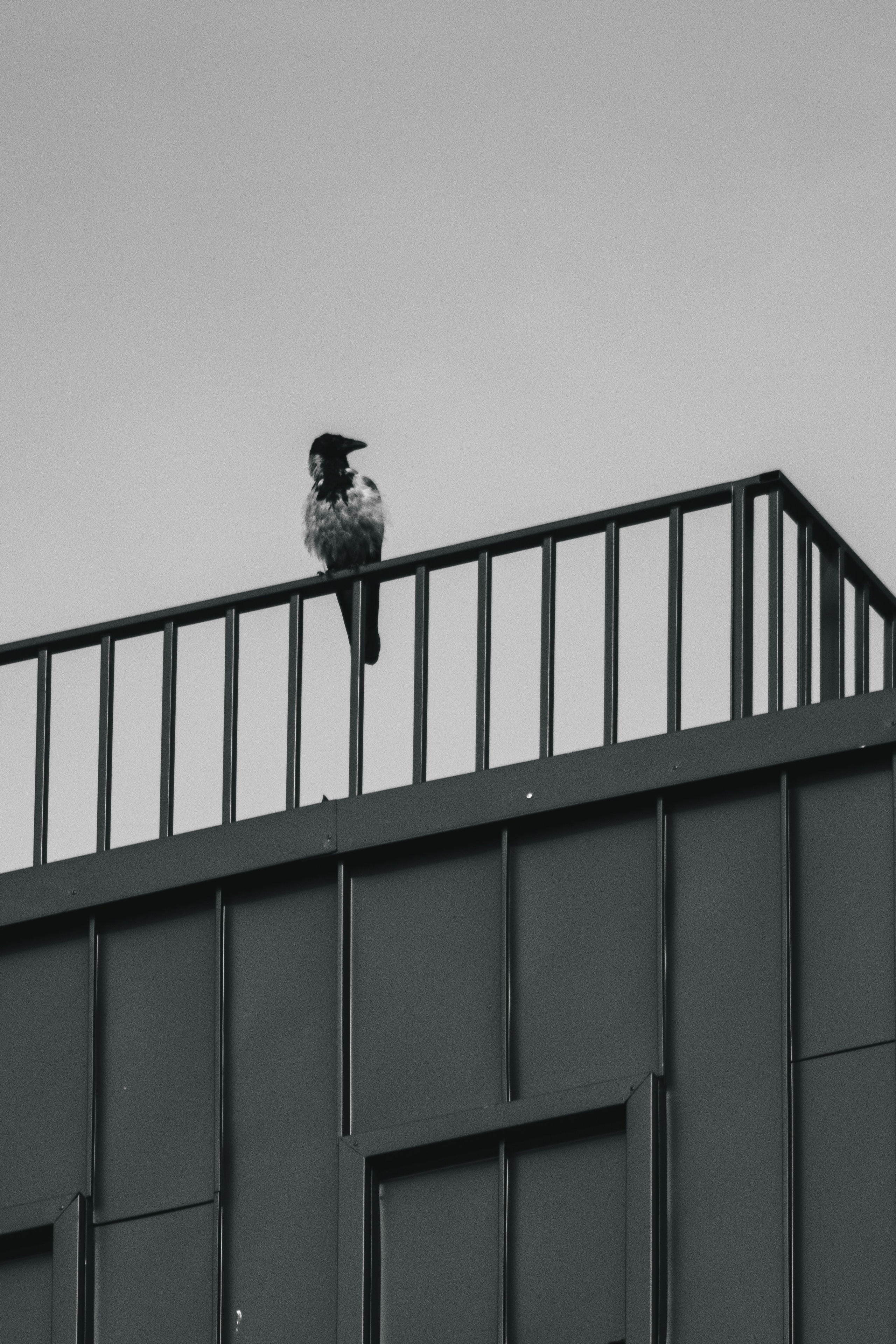 Ч \ Б. — Digital Noise —