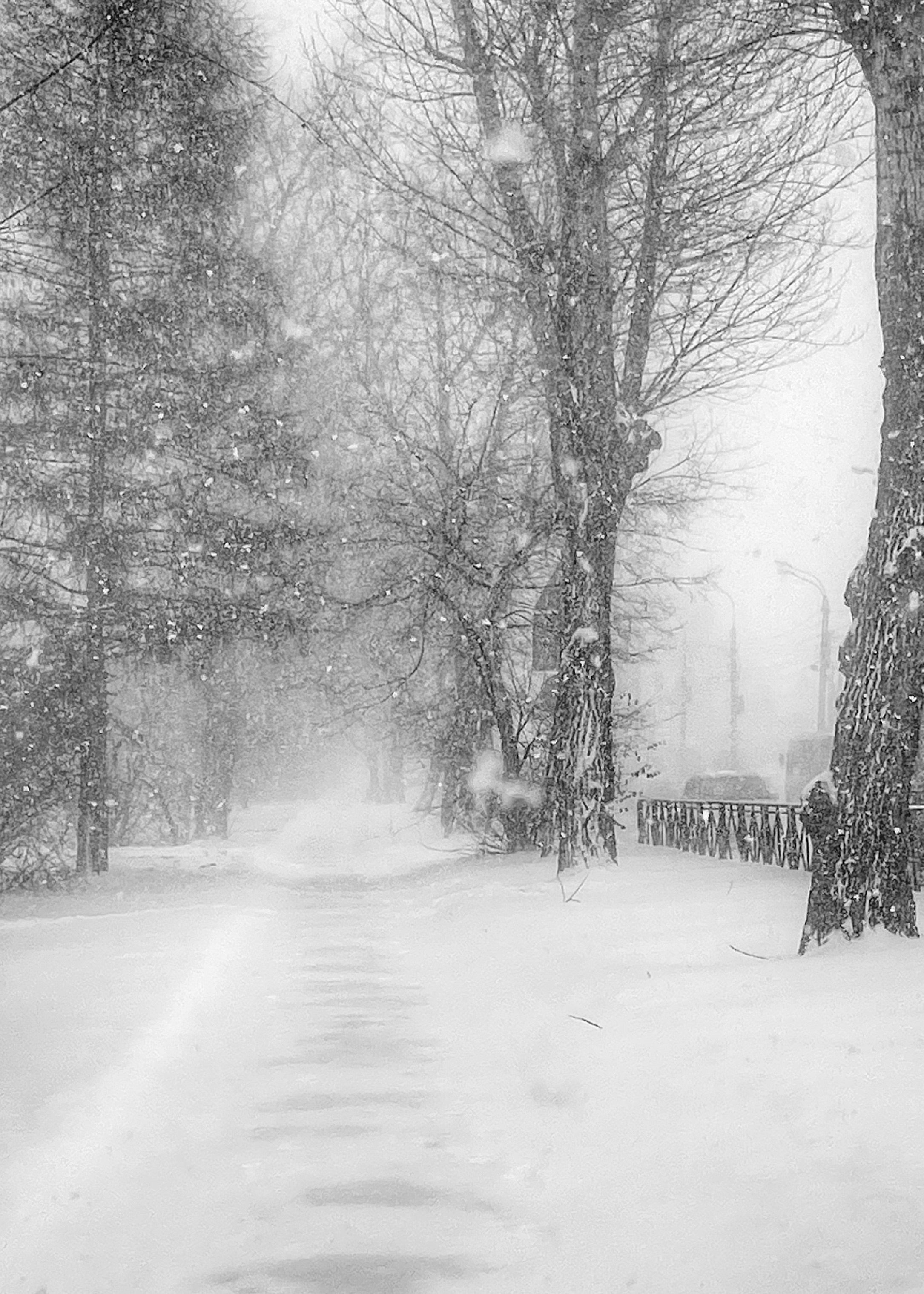 2025 год. Тащилин Сергей. Фотографии. Жизнь. Хобби