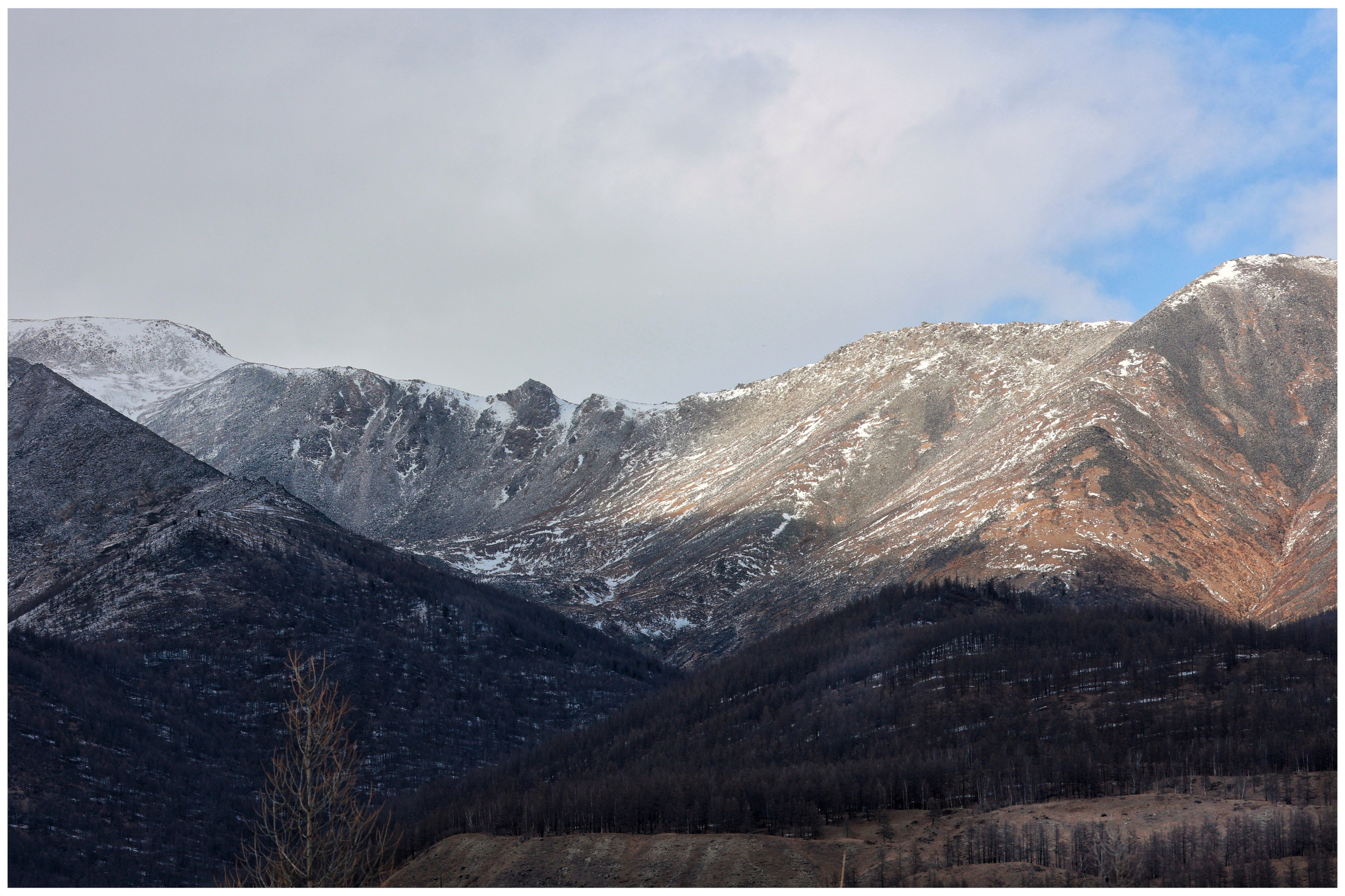 2024. Тащилин Сергей. Фотографии. Жизнь. Хобби