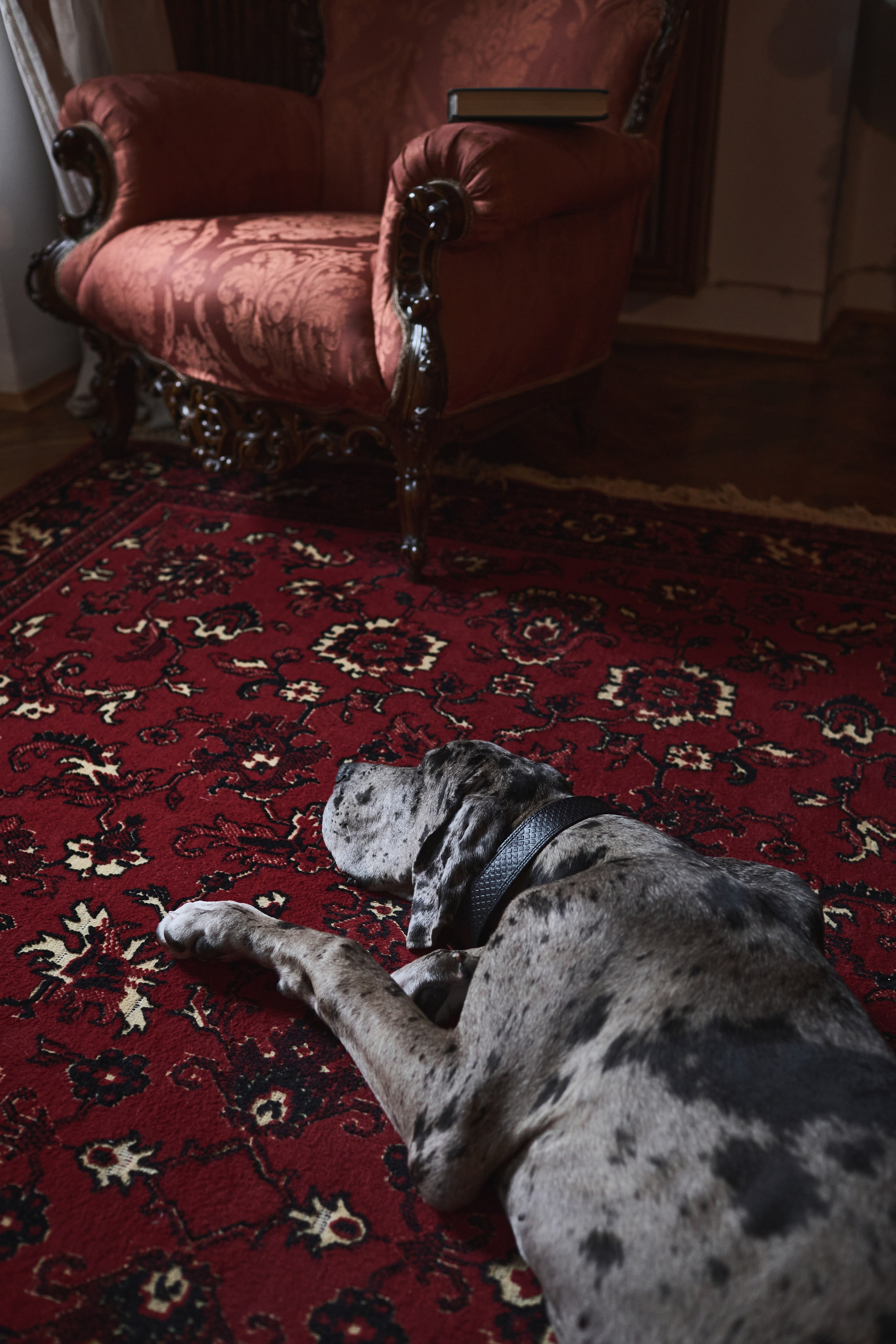 Анюта. Уют, покой и нежность. Крым фото, отдых Крым, Севастополь фото, Свадьба фото, Олег Горбатко