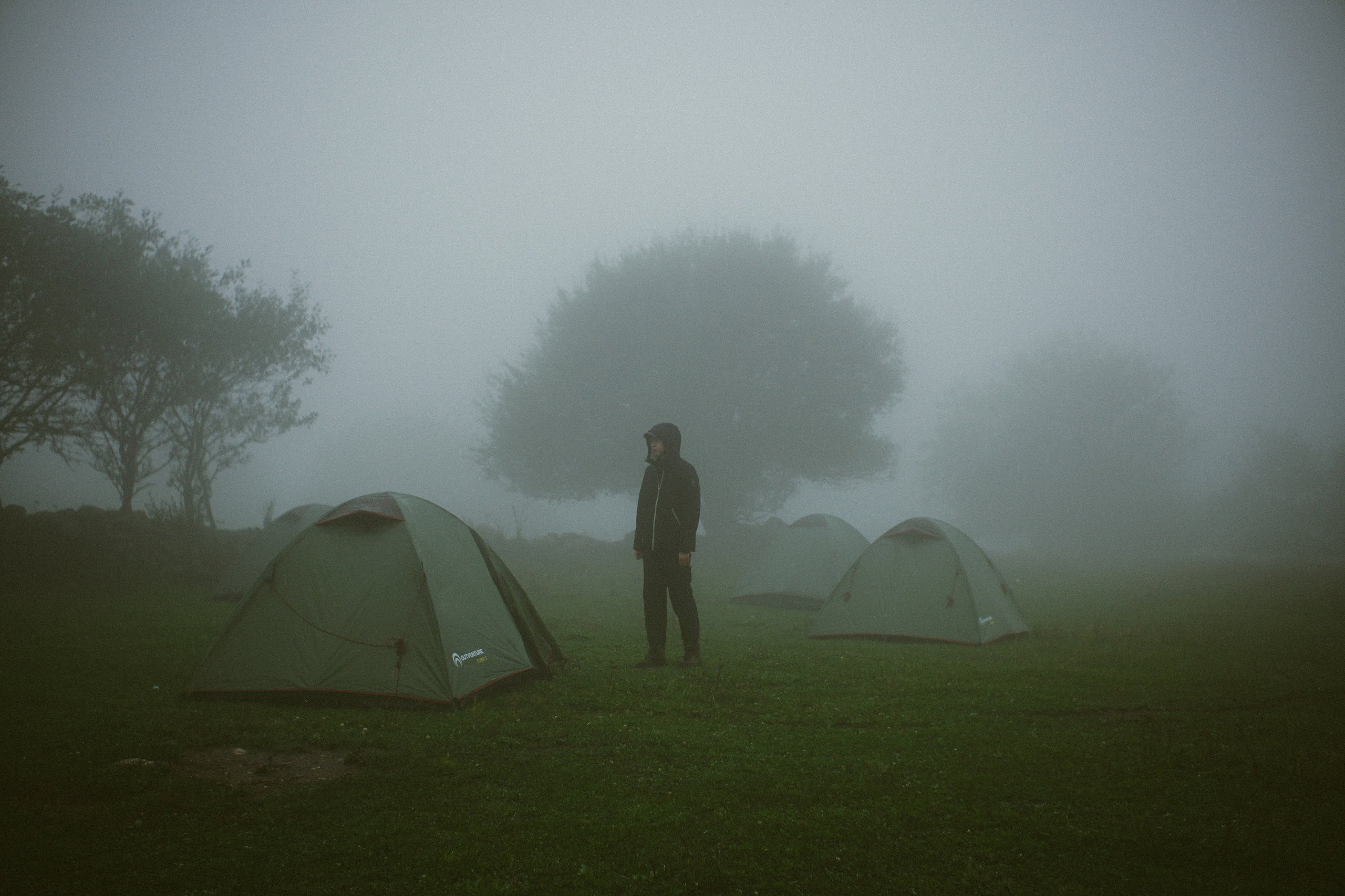 Пленочный фотограф в Москве | Necultured