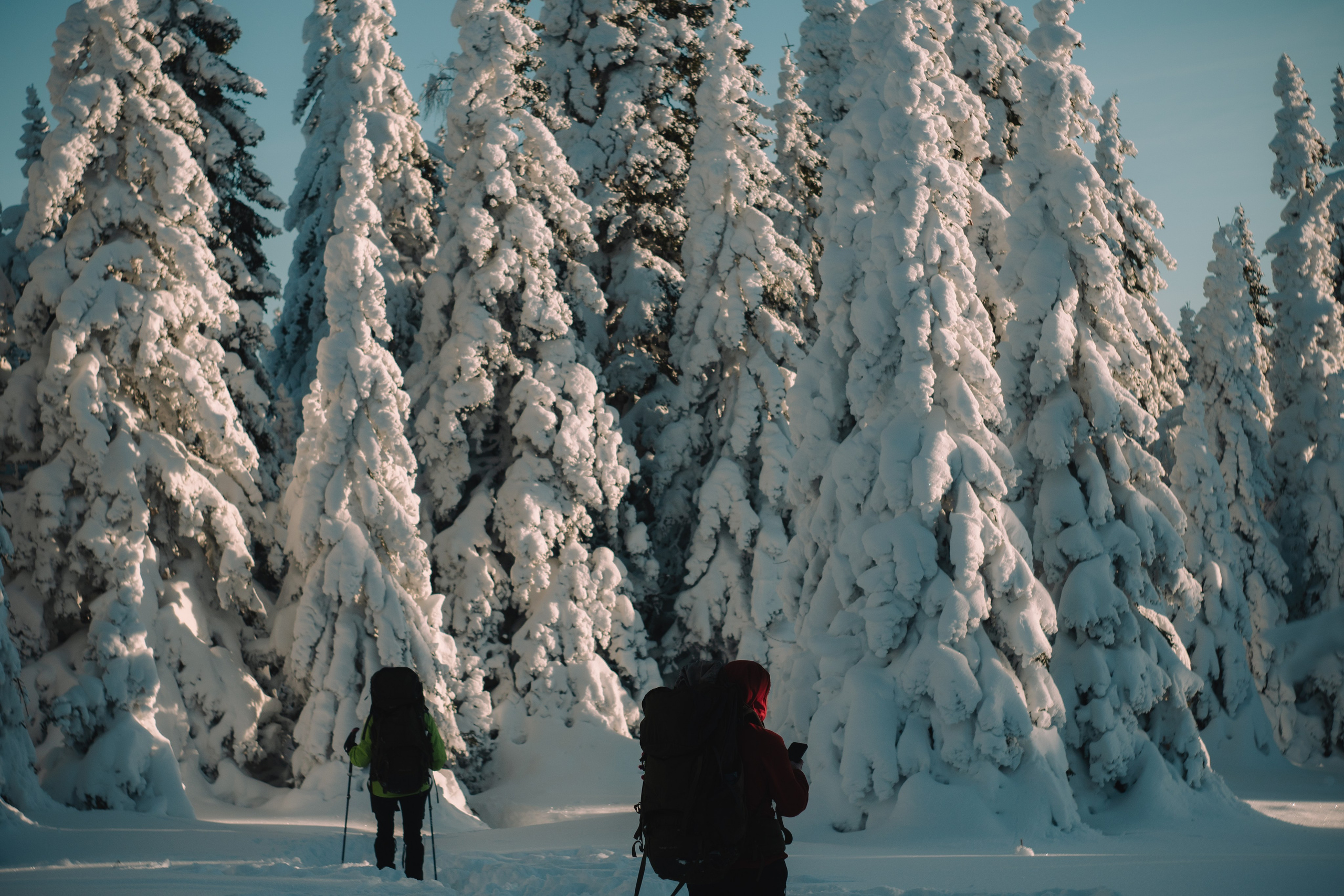 Фотографии из путешествий. NECULTURED PHOTOGRAPHER