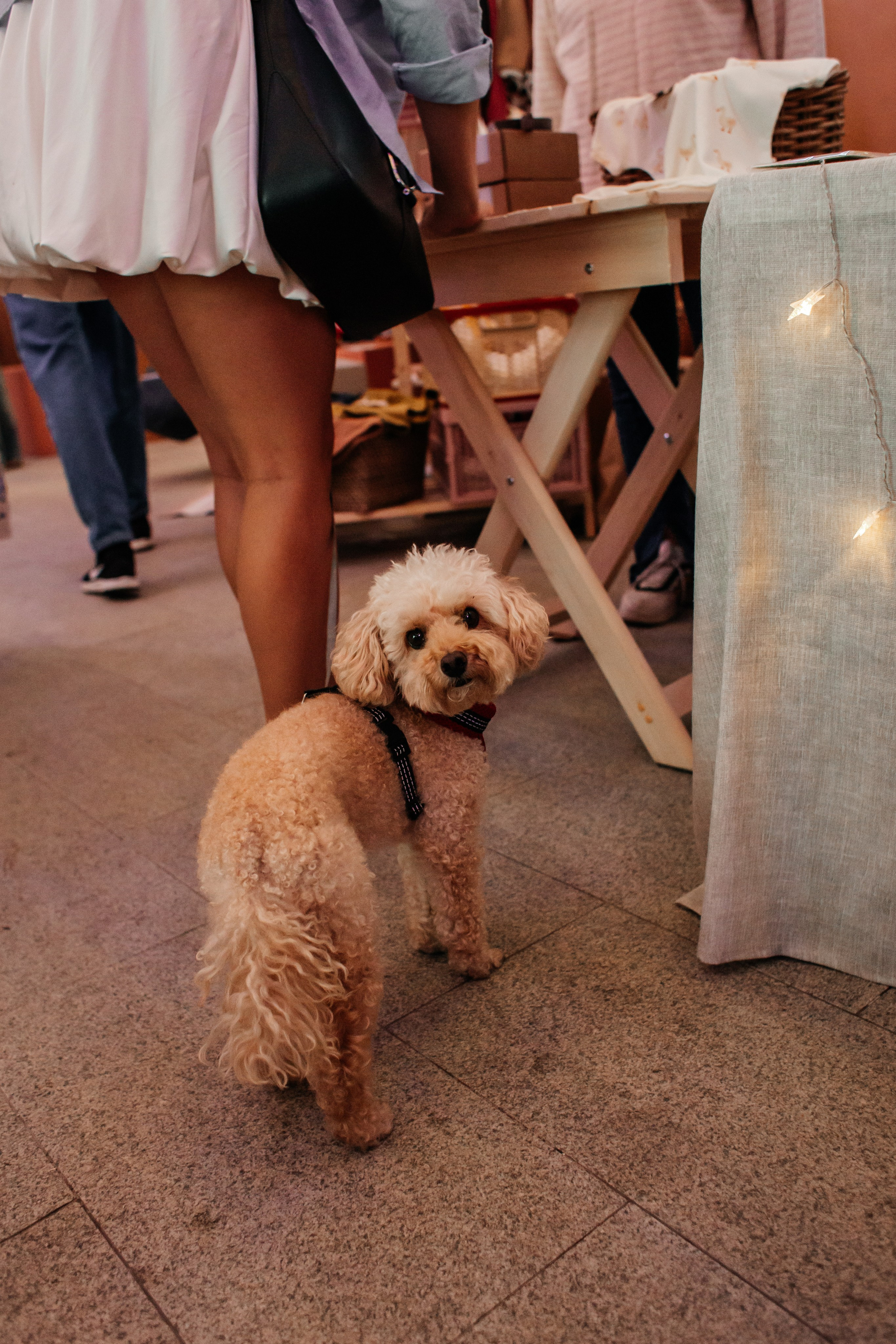 Шалаш фест 2024. Семейный фотограф Виктория Потехина Москва