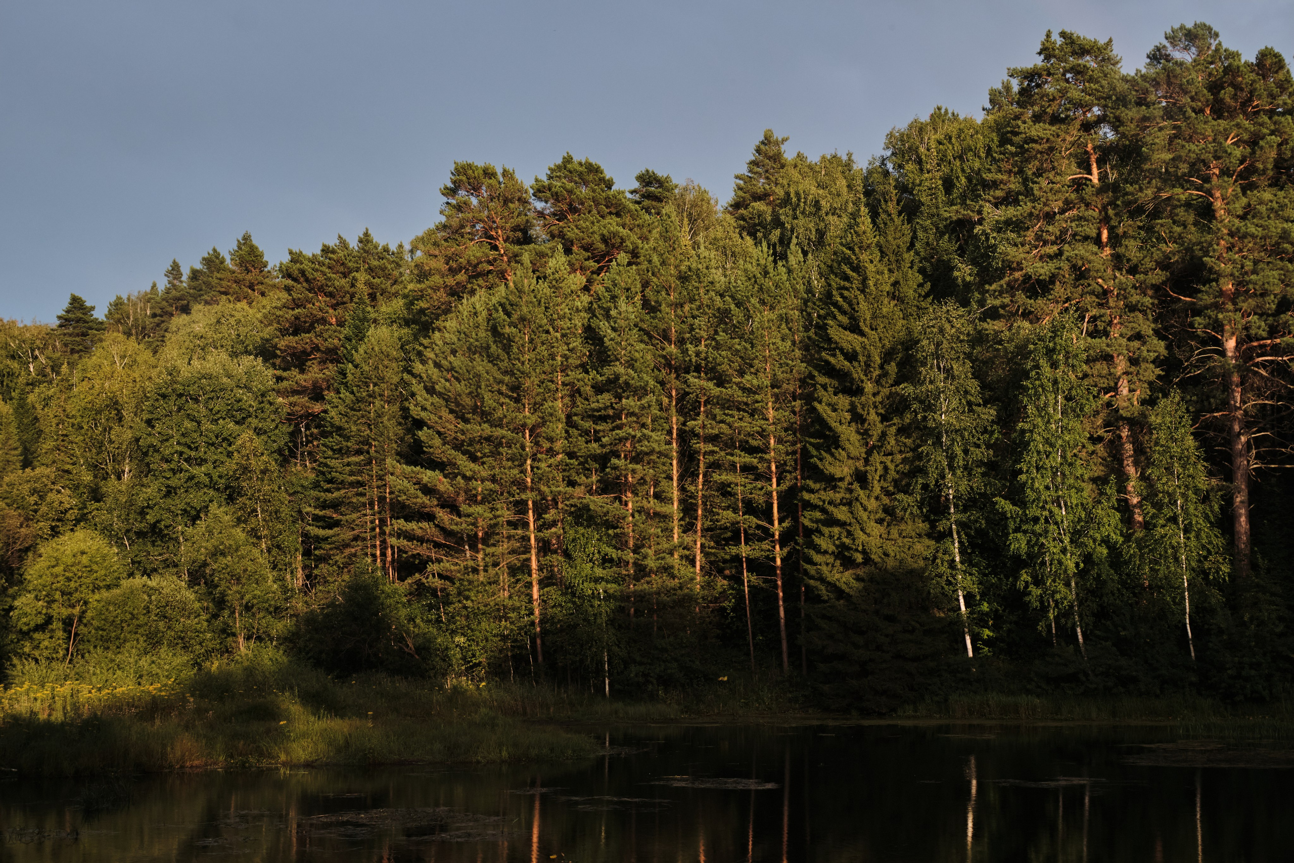 Академ-городок и ботанический сад. Goncharov Tim
